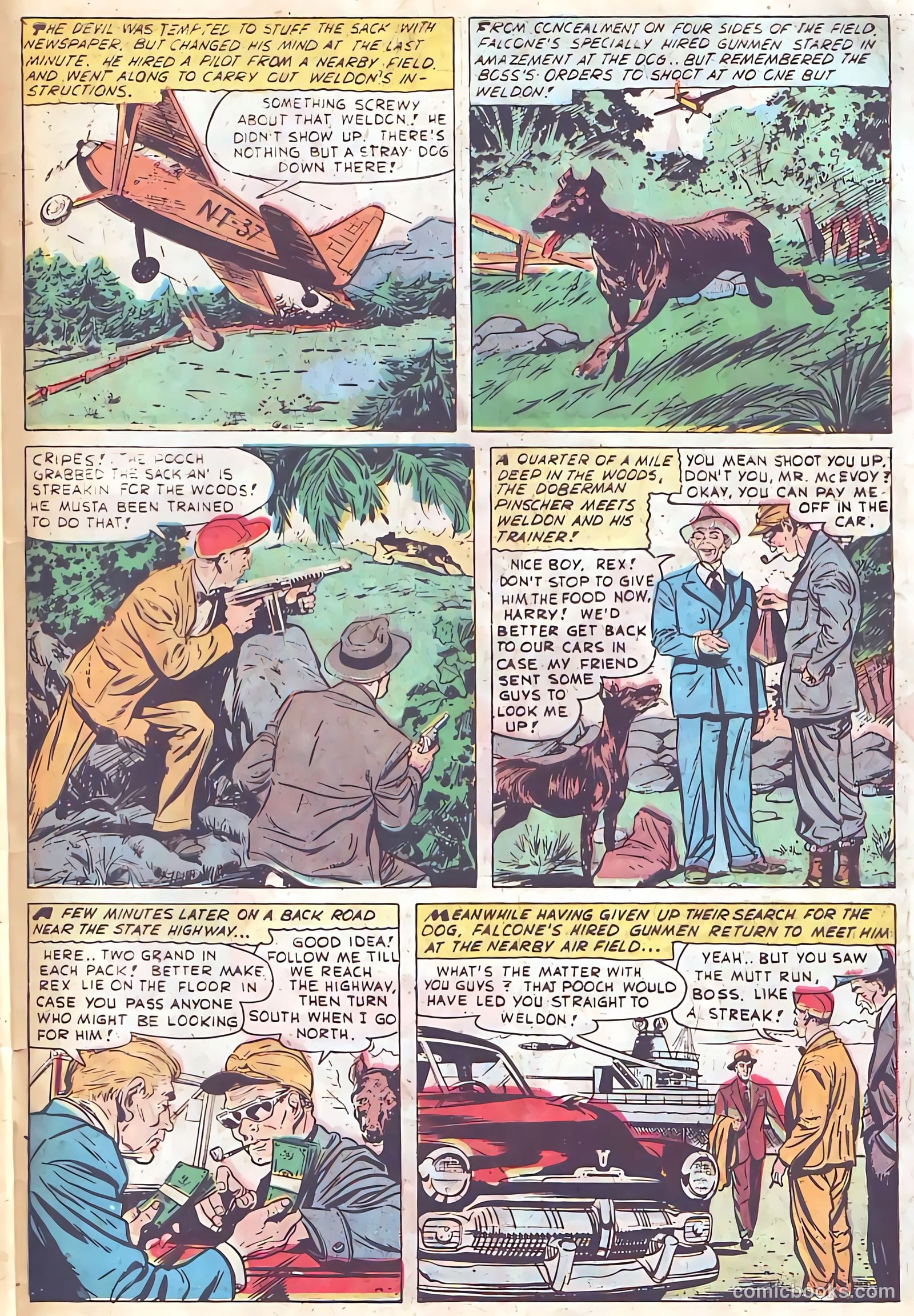 Authentic Police Cases #17 (1952) — page 32 of 37