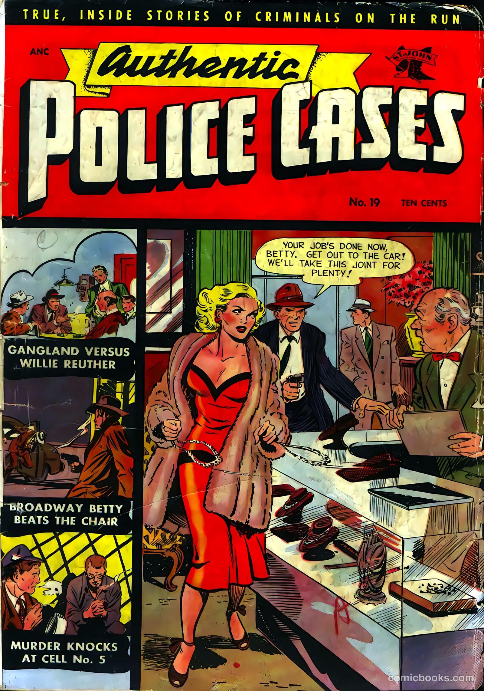 Authentic Police Cases #19