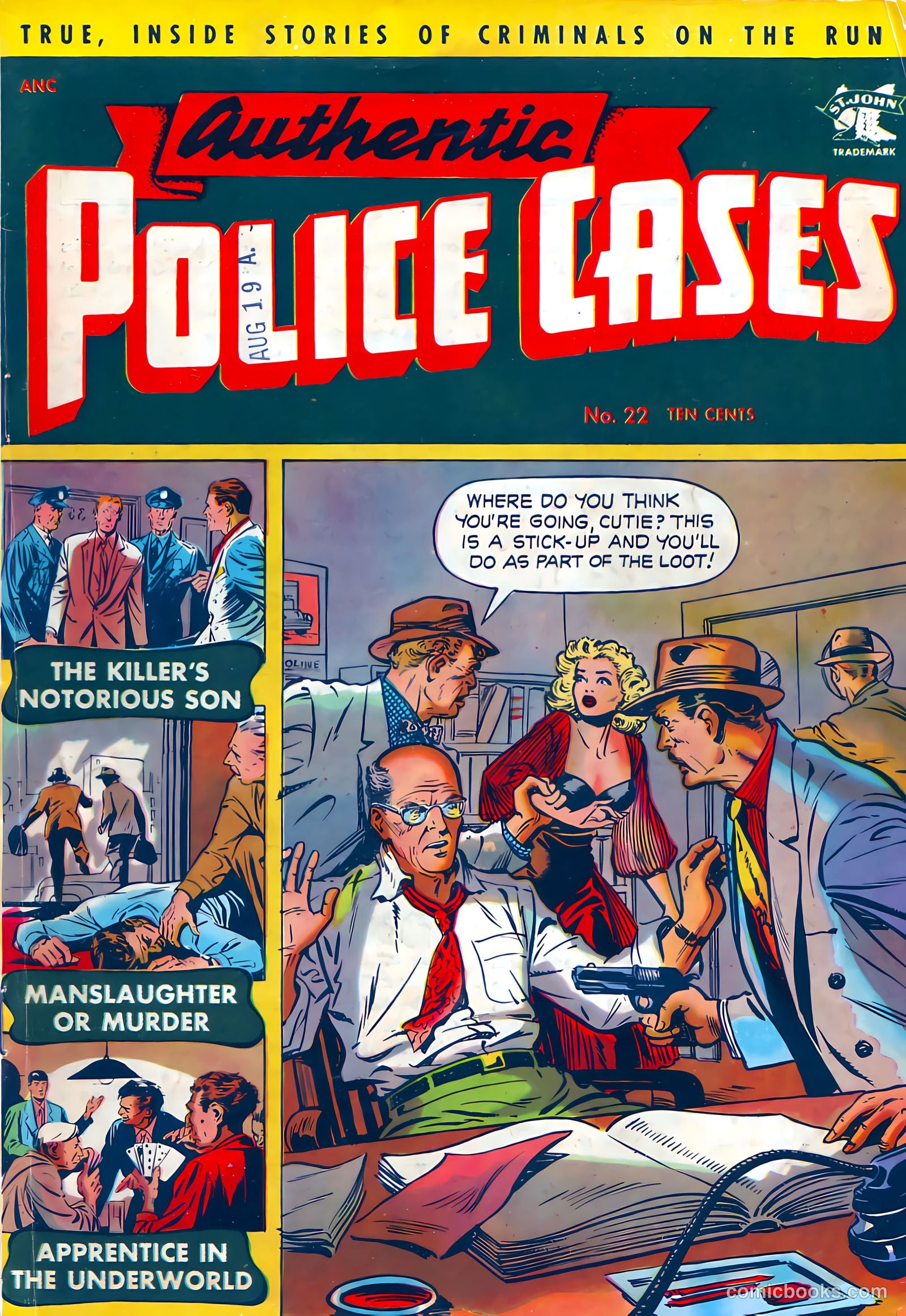 Authentic Police Cases #22