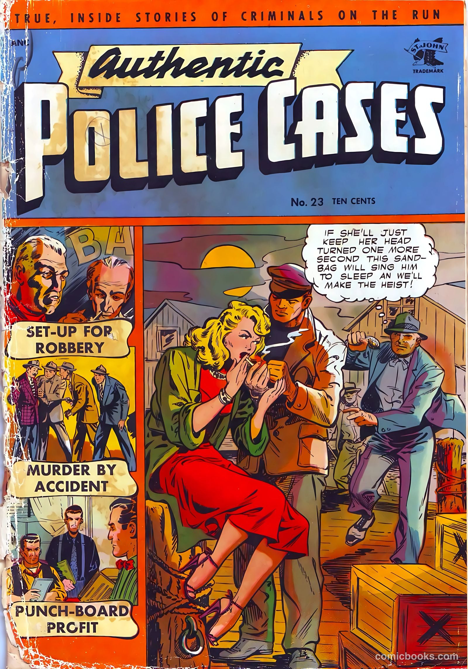 Authentic Police Cases #23