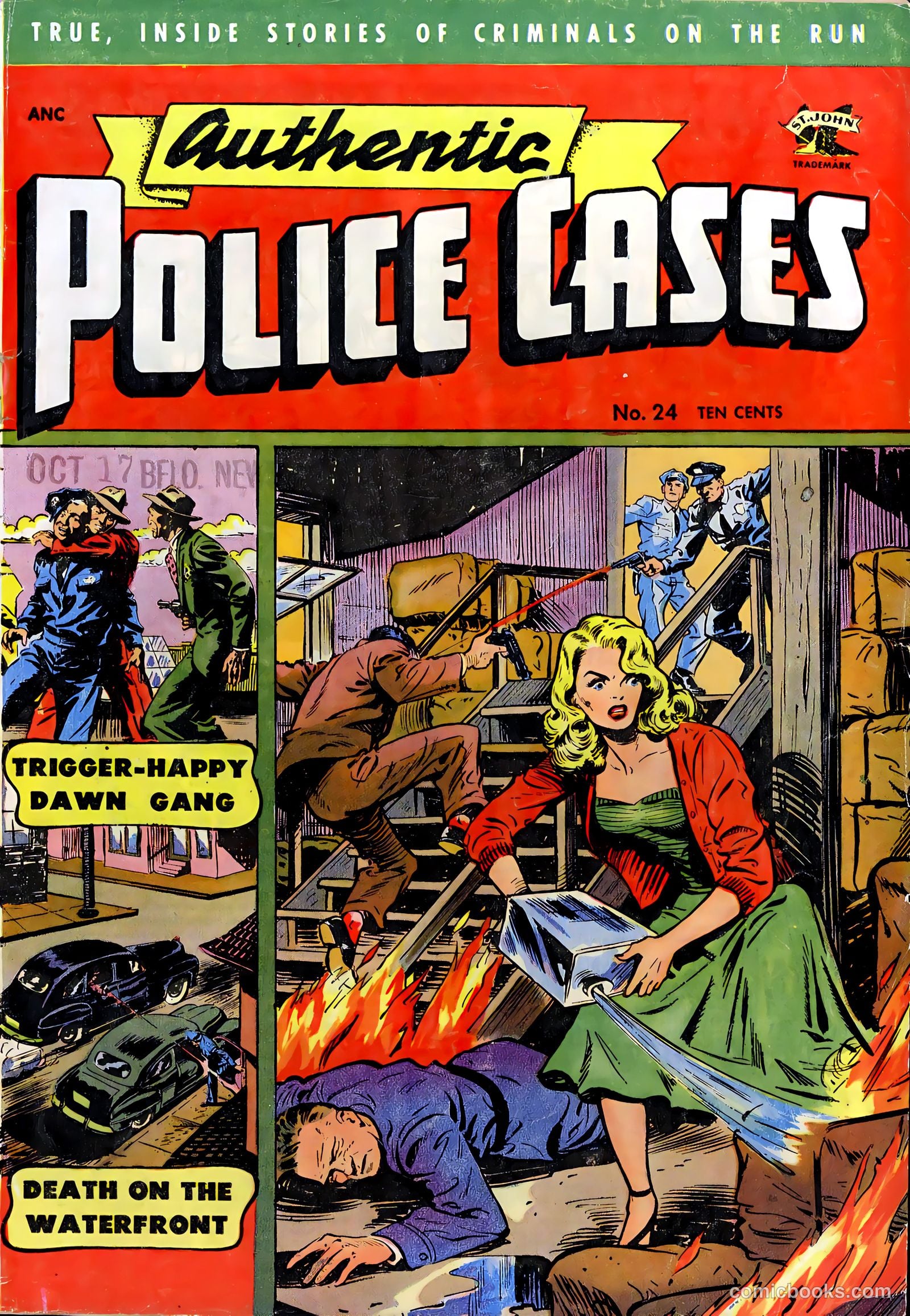 Authentic Police Cases #24