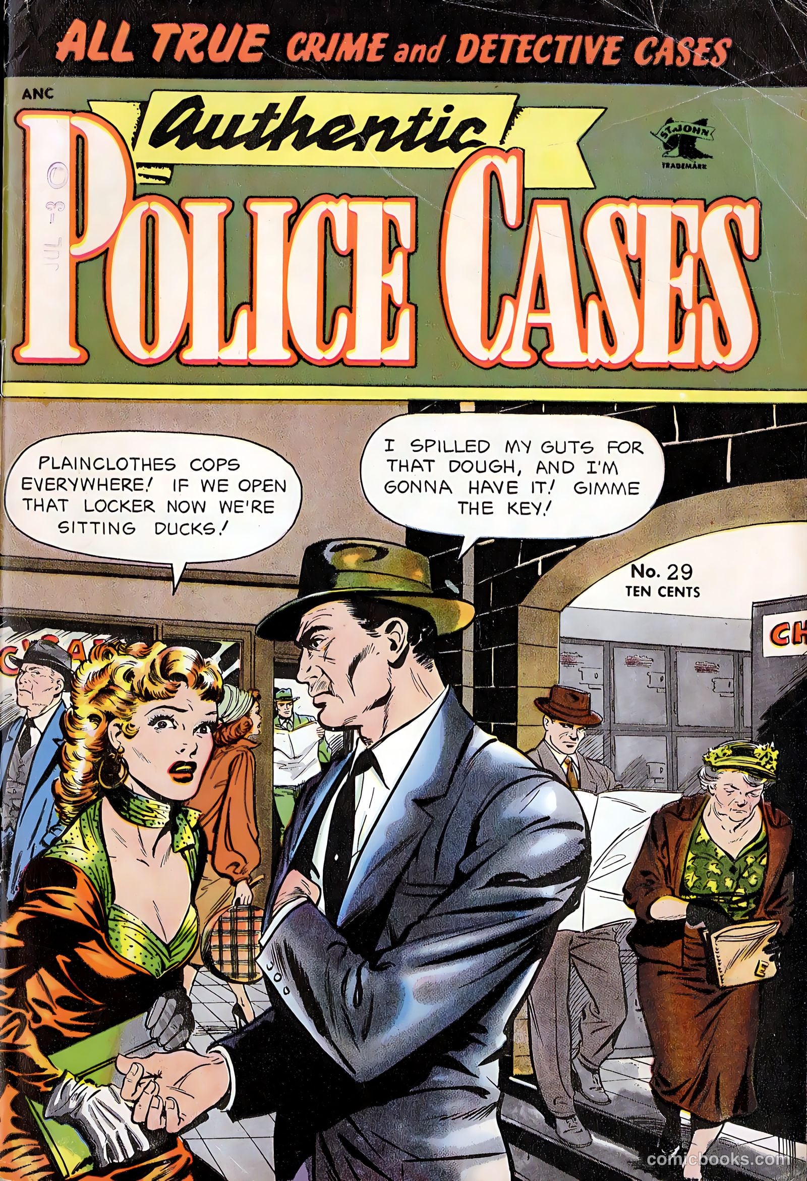 Authentic Police Cases #29