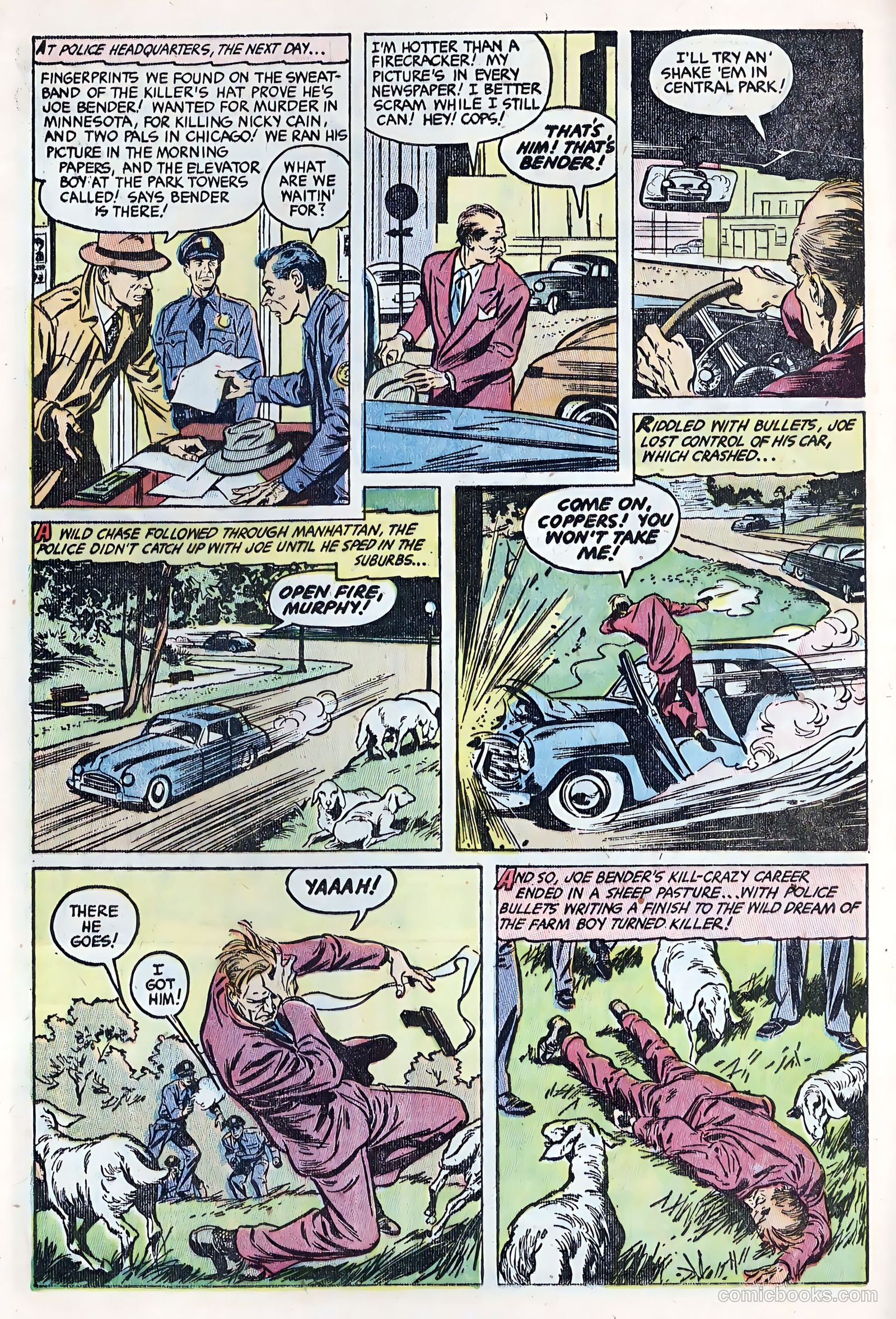 Authentic Police Cases #29 (1953) — page 8 of 36
