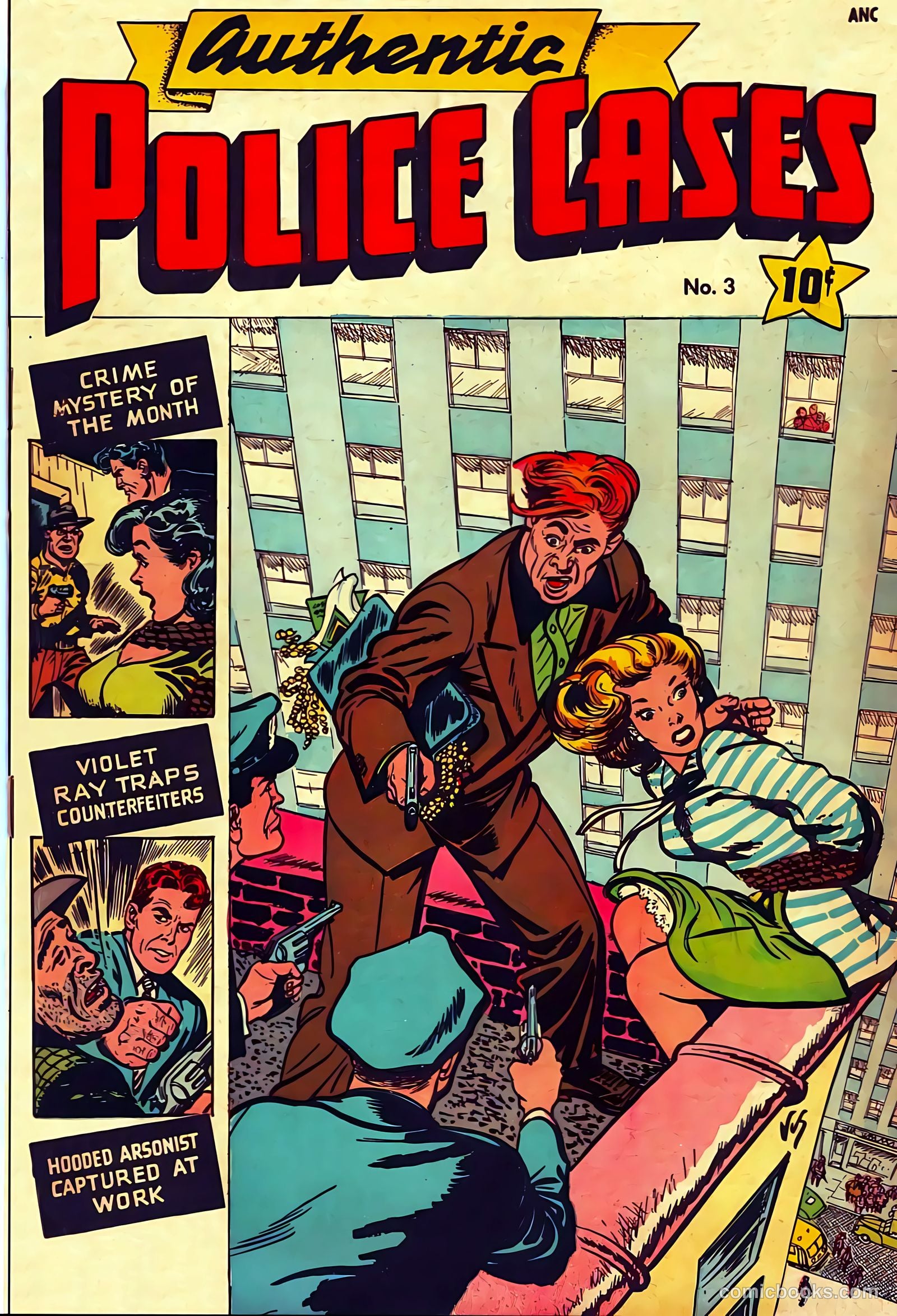 Authentic Police Cases #3