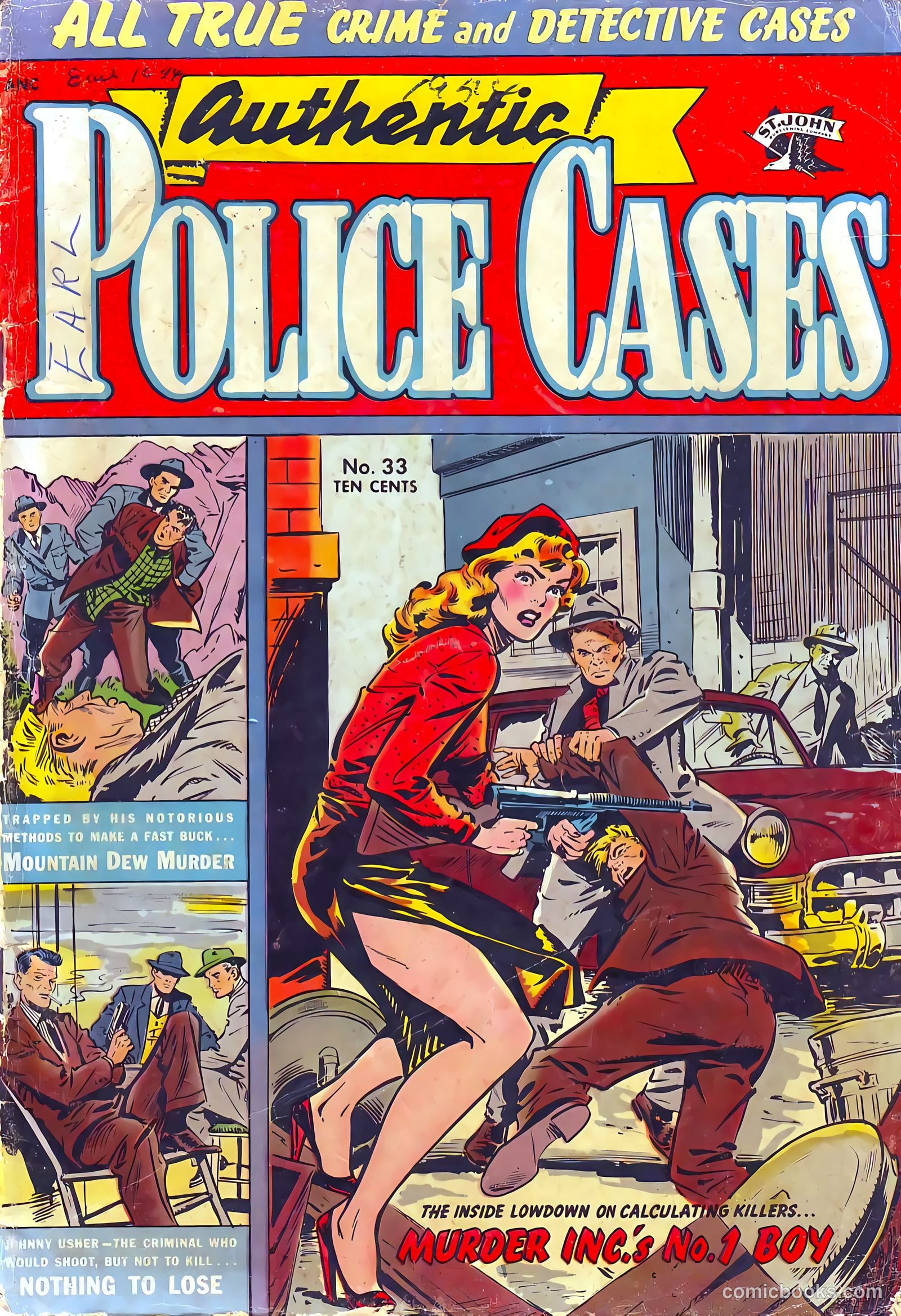 Authentic Police Cases #33