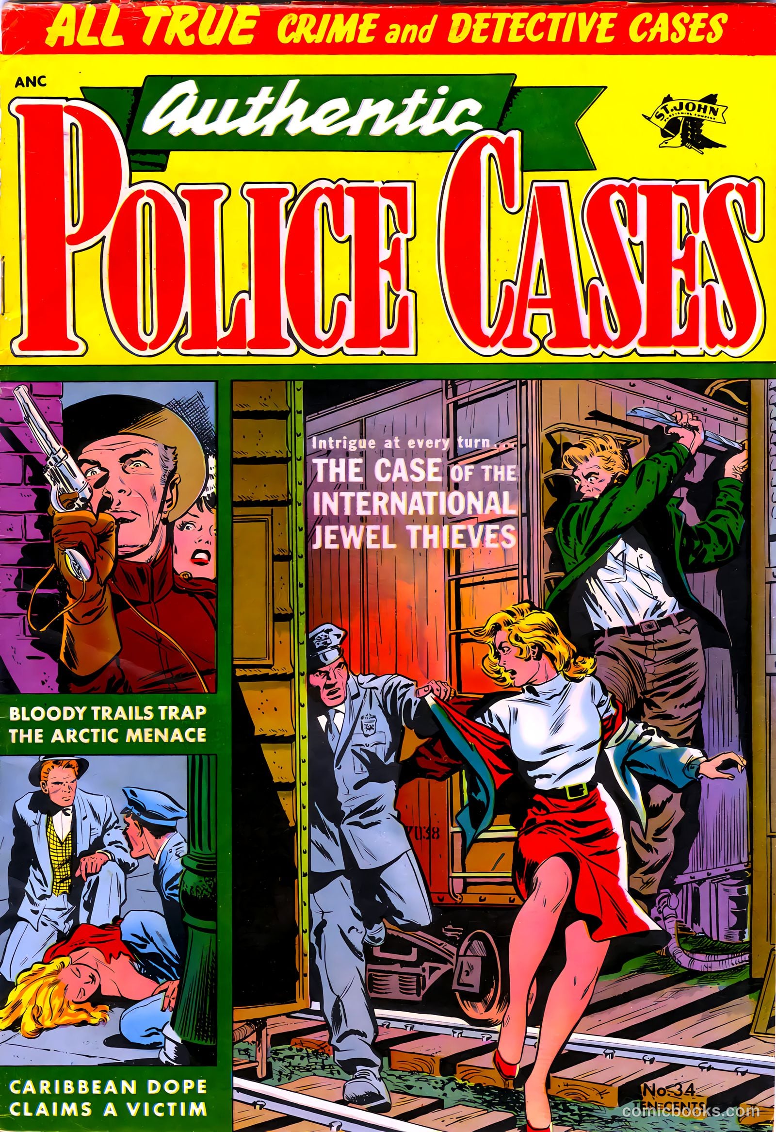 Authentic Police Cases #34