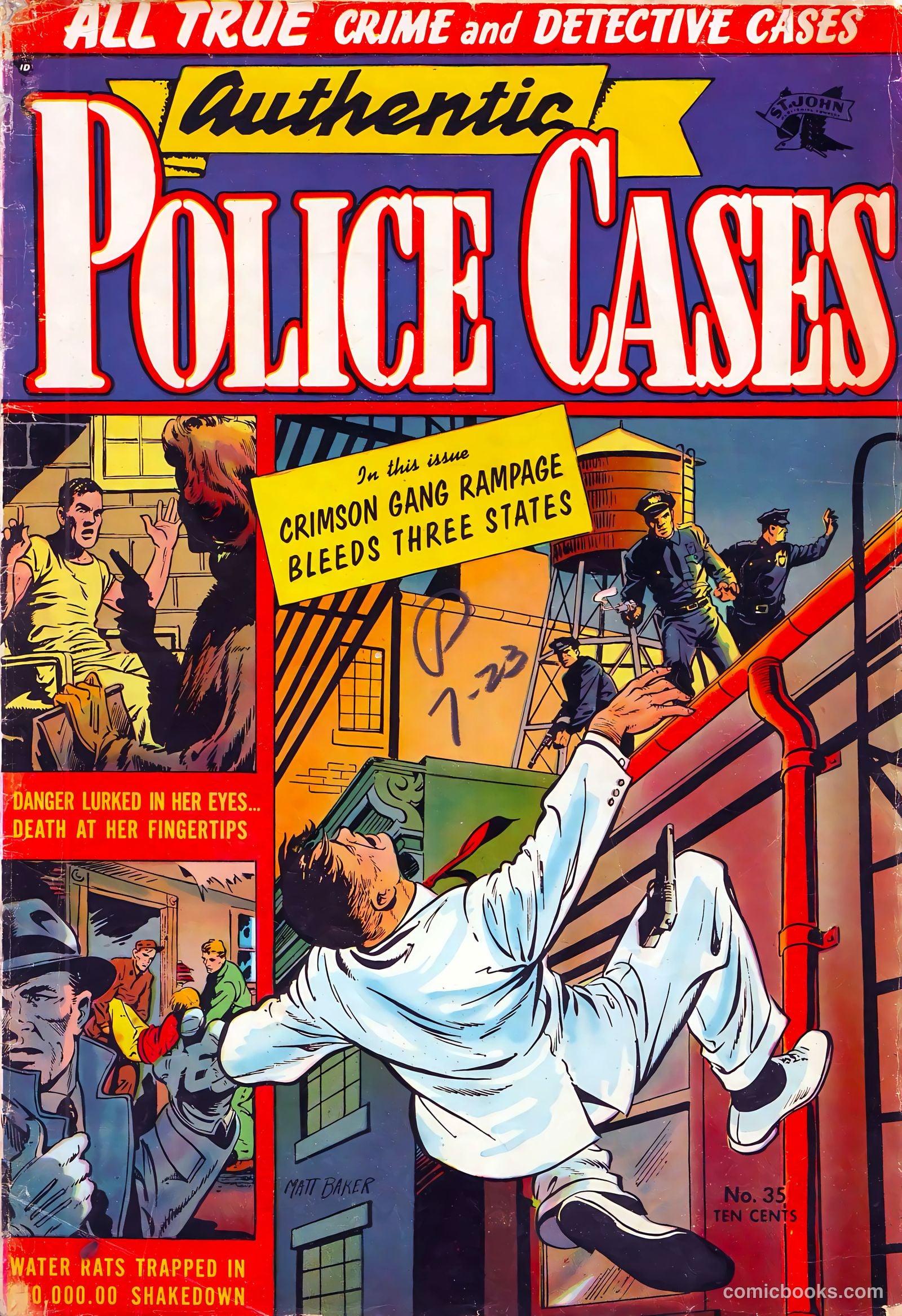Authentic Police Cases #35