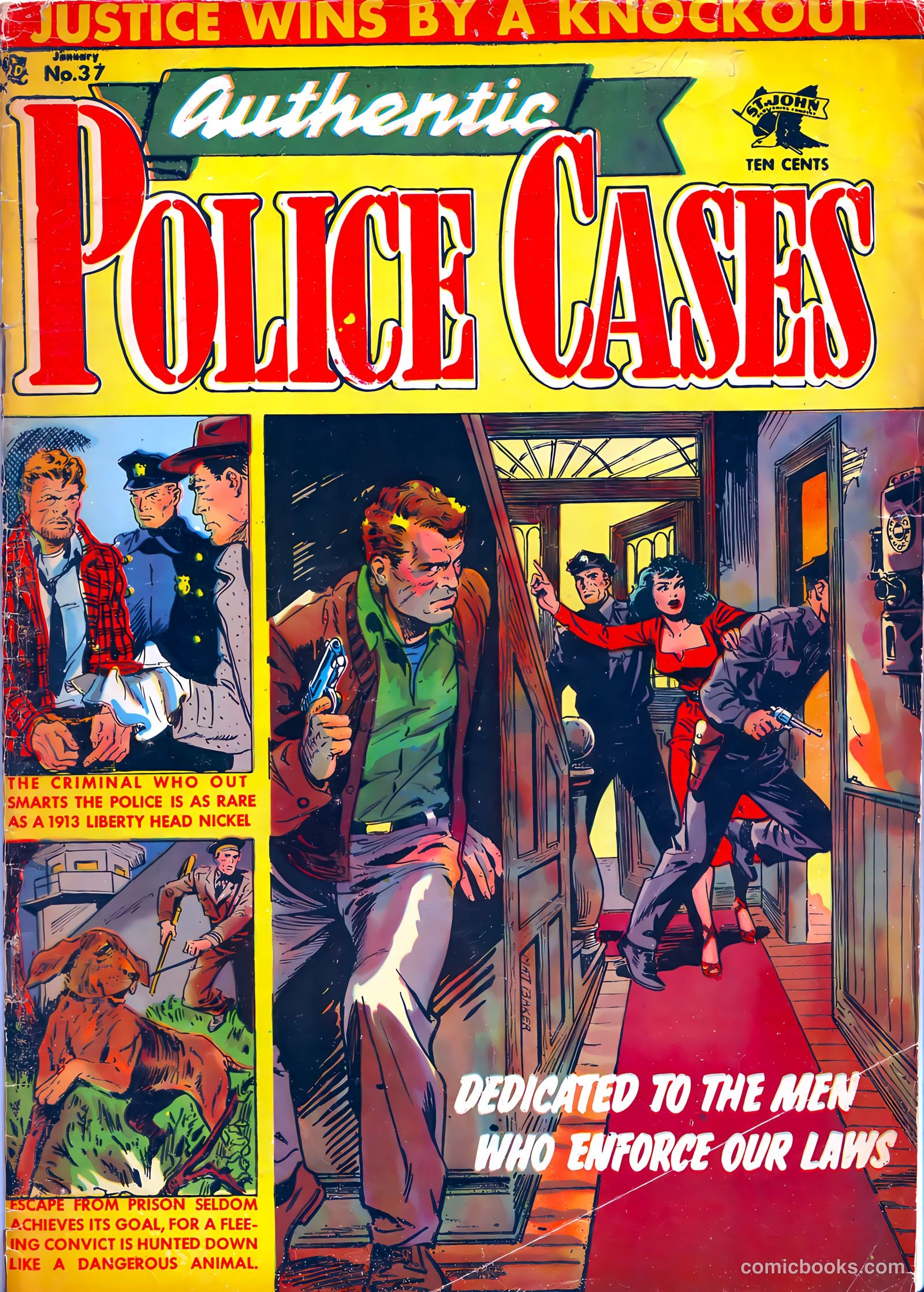 Authentic Police Cases #37