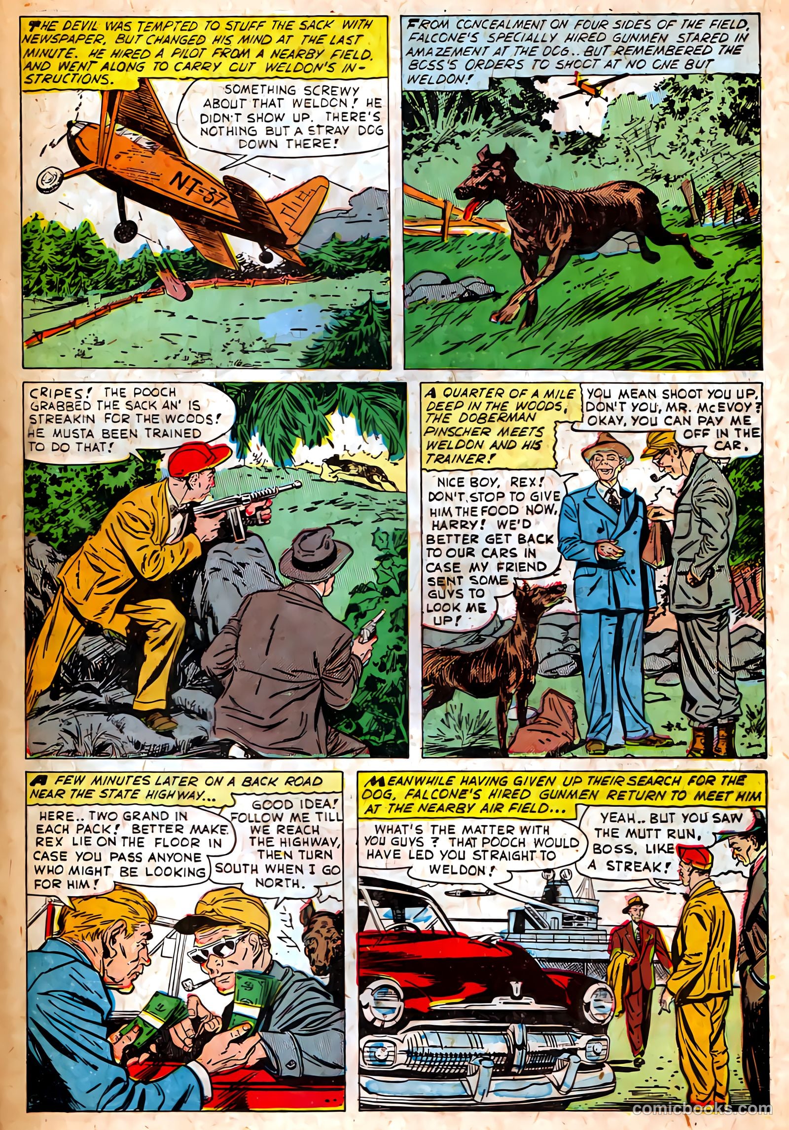 Authentic Police Cases #37 (1955) — page 31 of 37