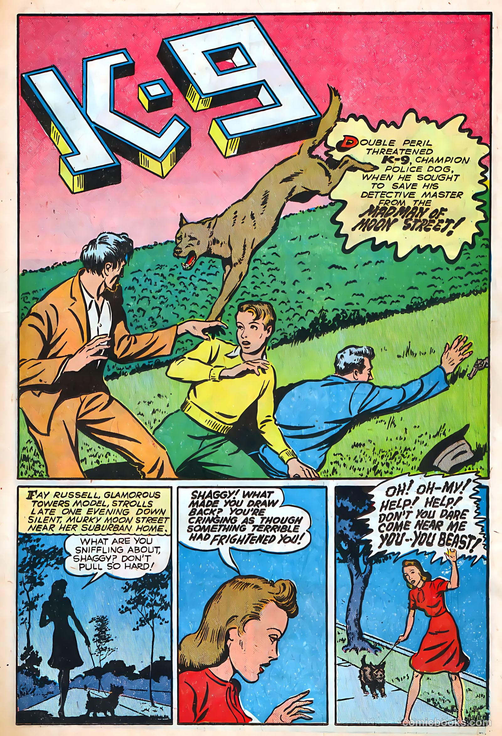 Authentic Police Cases #4 (1948) — page 15 of 36