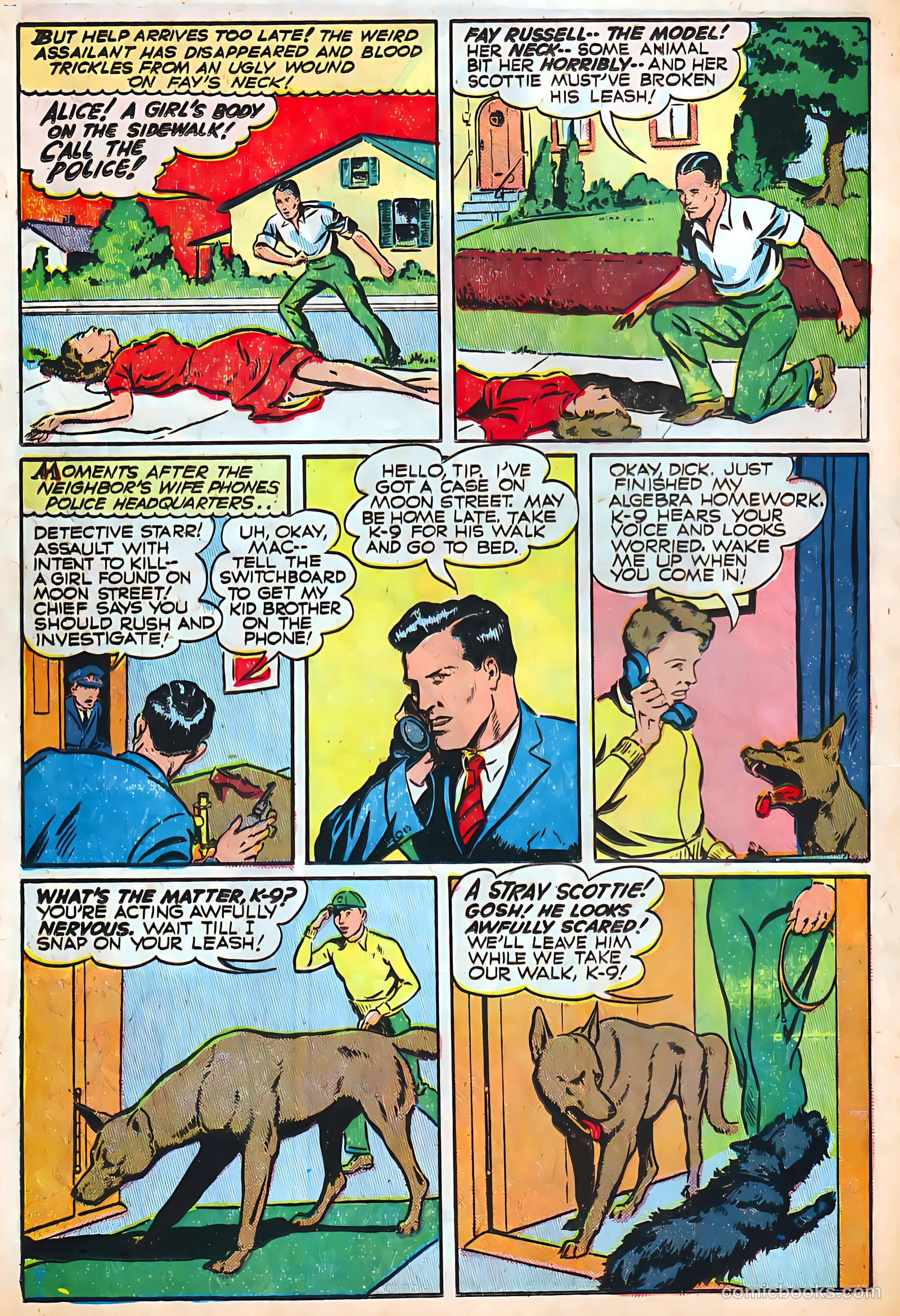 Authentic Police Cases #4 (1948) — page 16 of 36