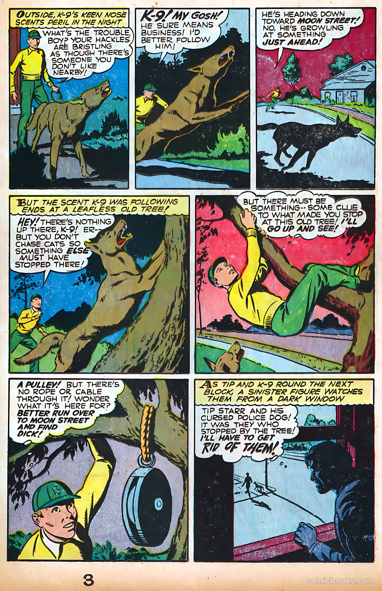 Authentic Police Cases #4 (1948) — page 17 of 36
