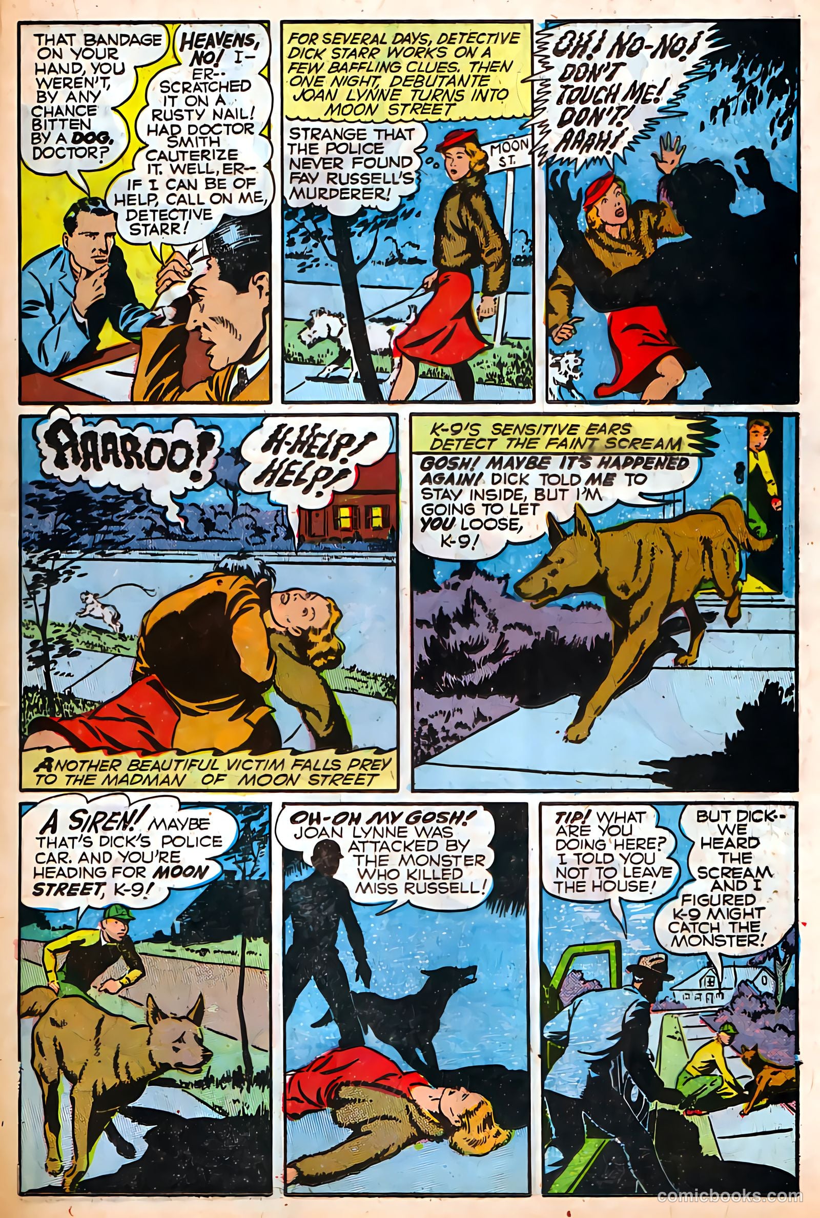 Authentic Police Cases #4 (1948) — page 19 of 36