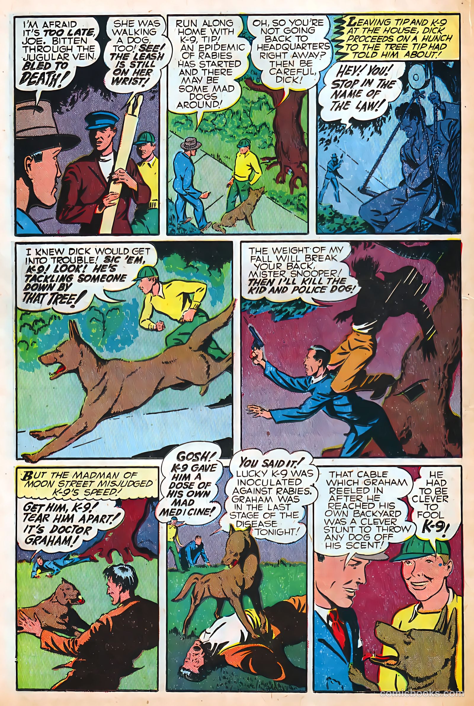 Authentic Police Cases #4 (1948) — page 20 of 36