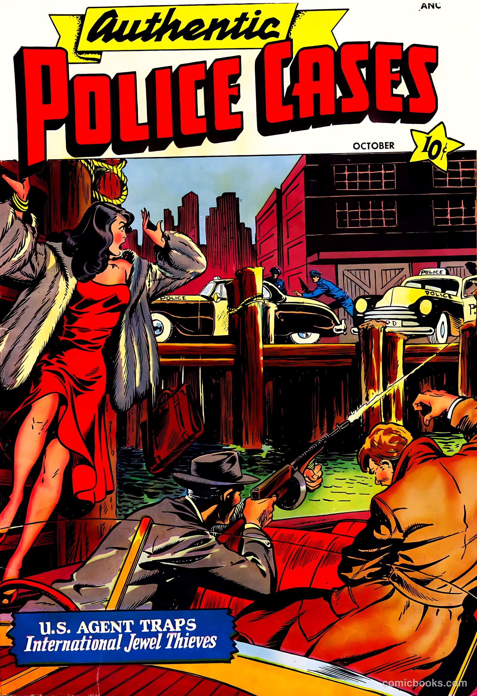 Authentic Police Cases #9