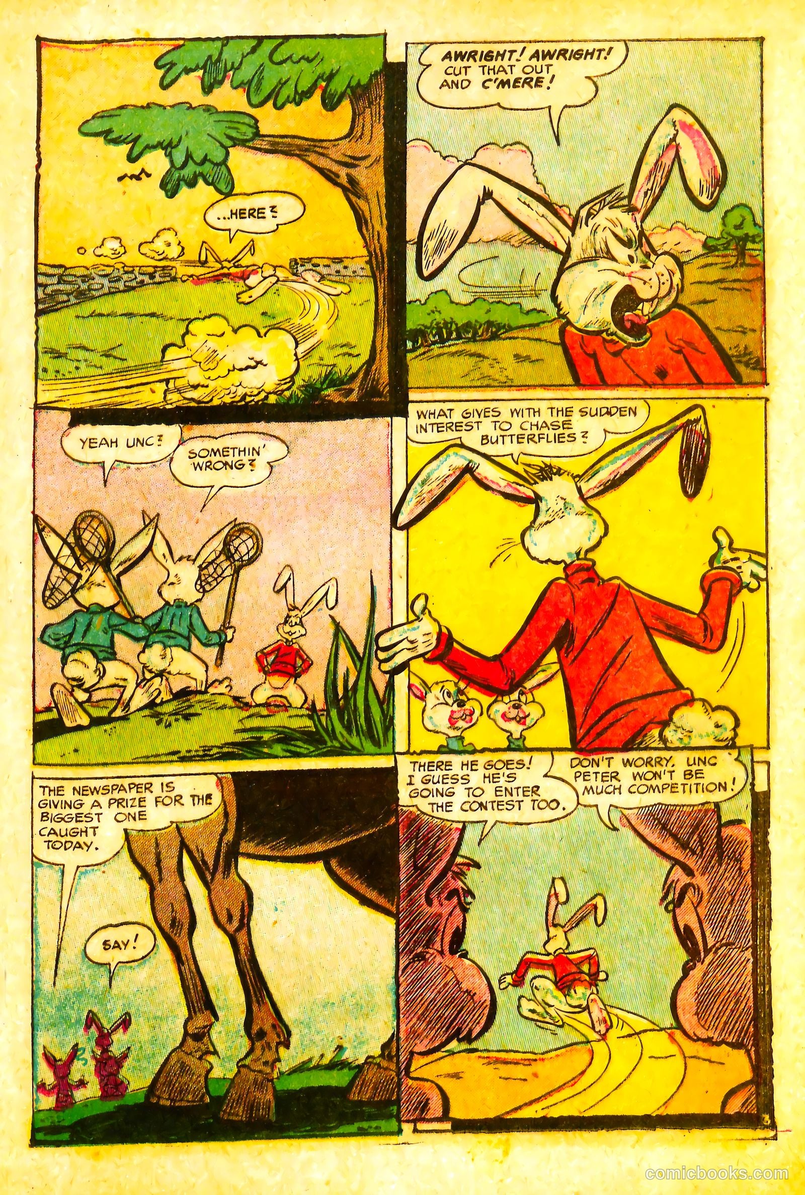 Peter Cottontail #2 (1954) — page 21 of 36