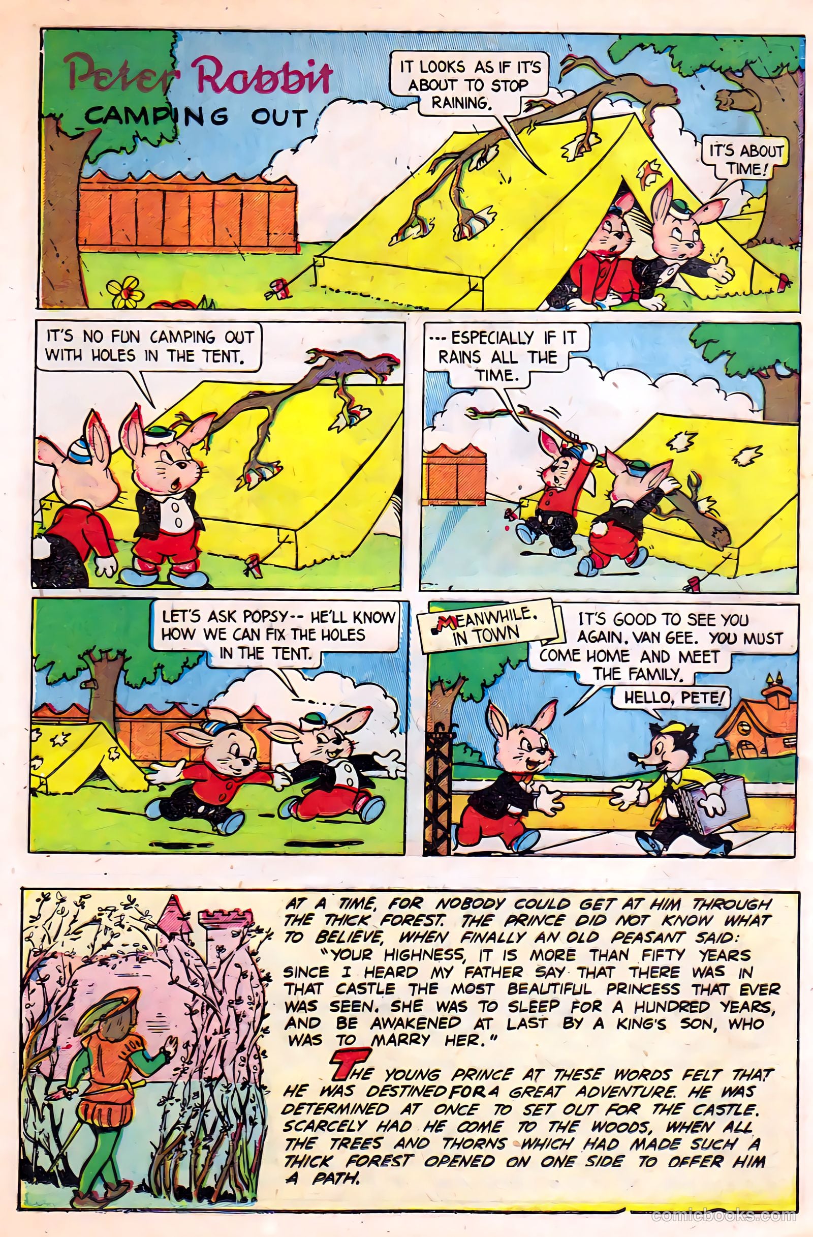 Peter Rabbit #7 (1950) — page 12 of 36