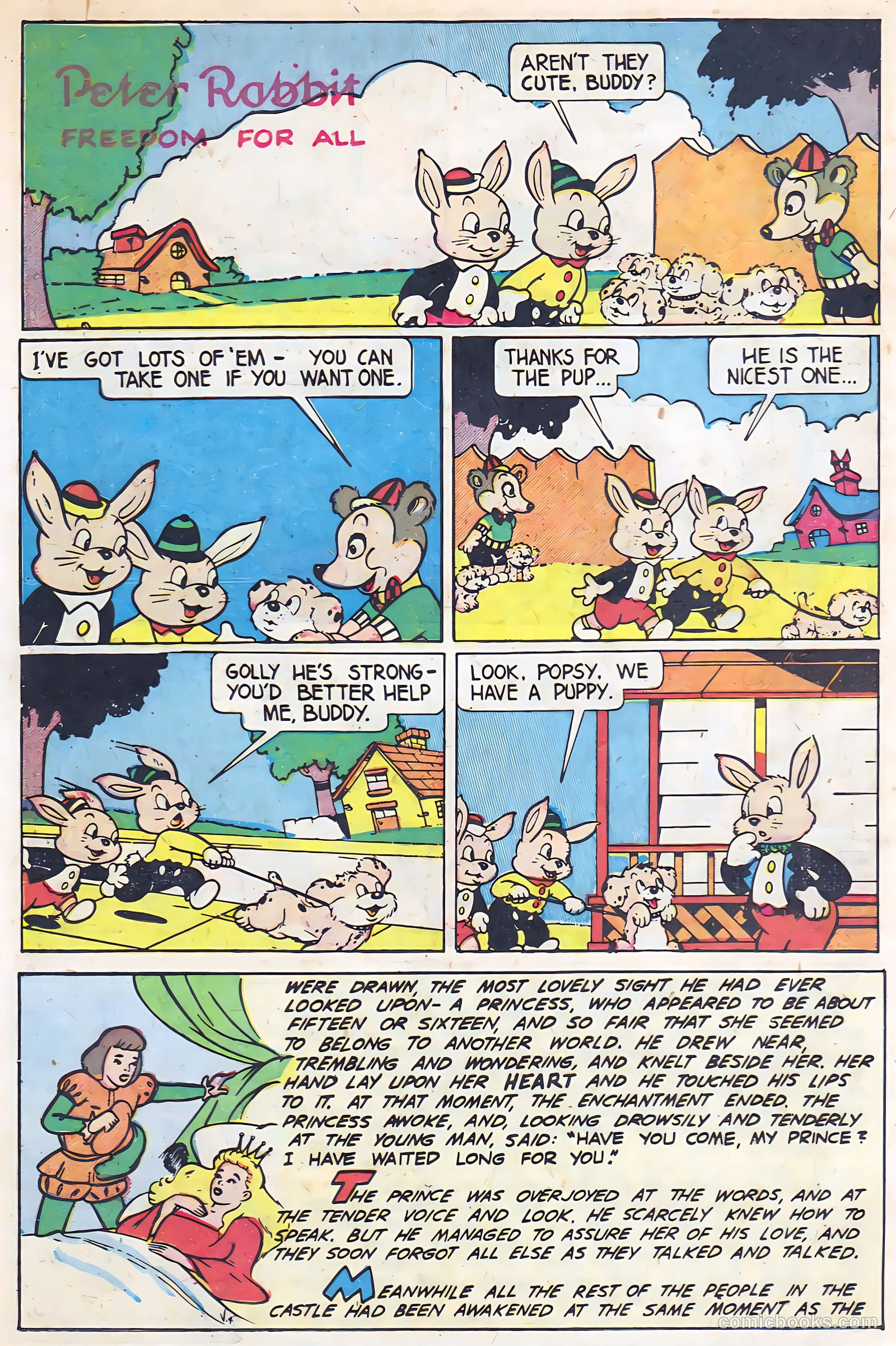 Peter Rabbit #7 (1950) — page 14 of 36