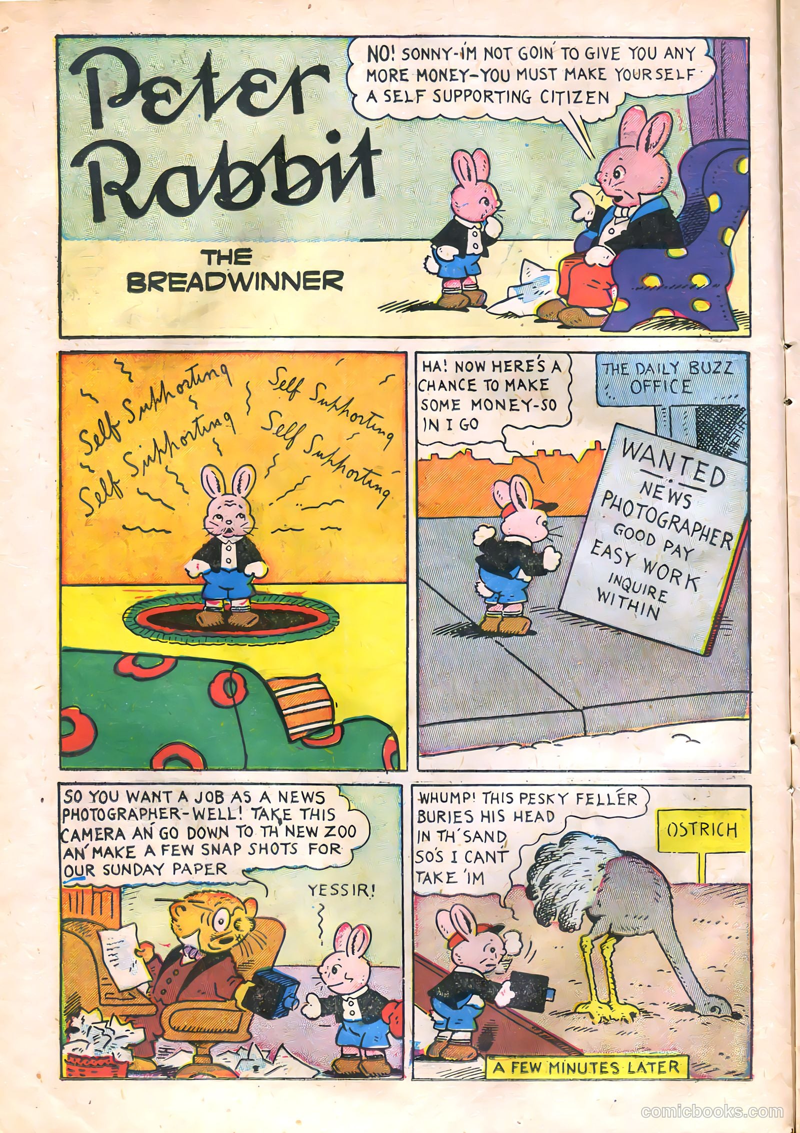 Peter Rabbit Comics #6 (1949) — page 14 of 36