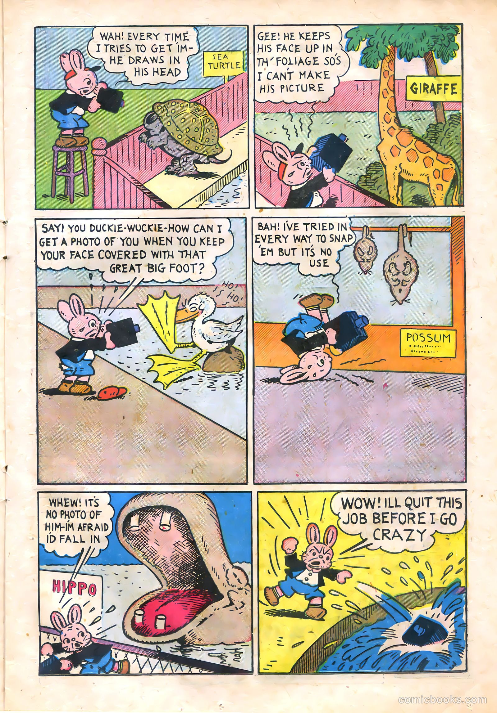 Peter Rabbit Comics #6 (1949) — page 15 of 36
