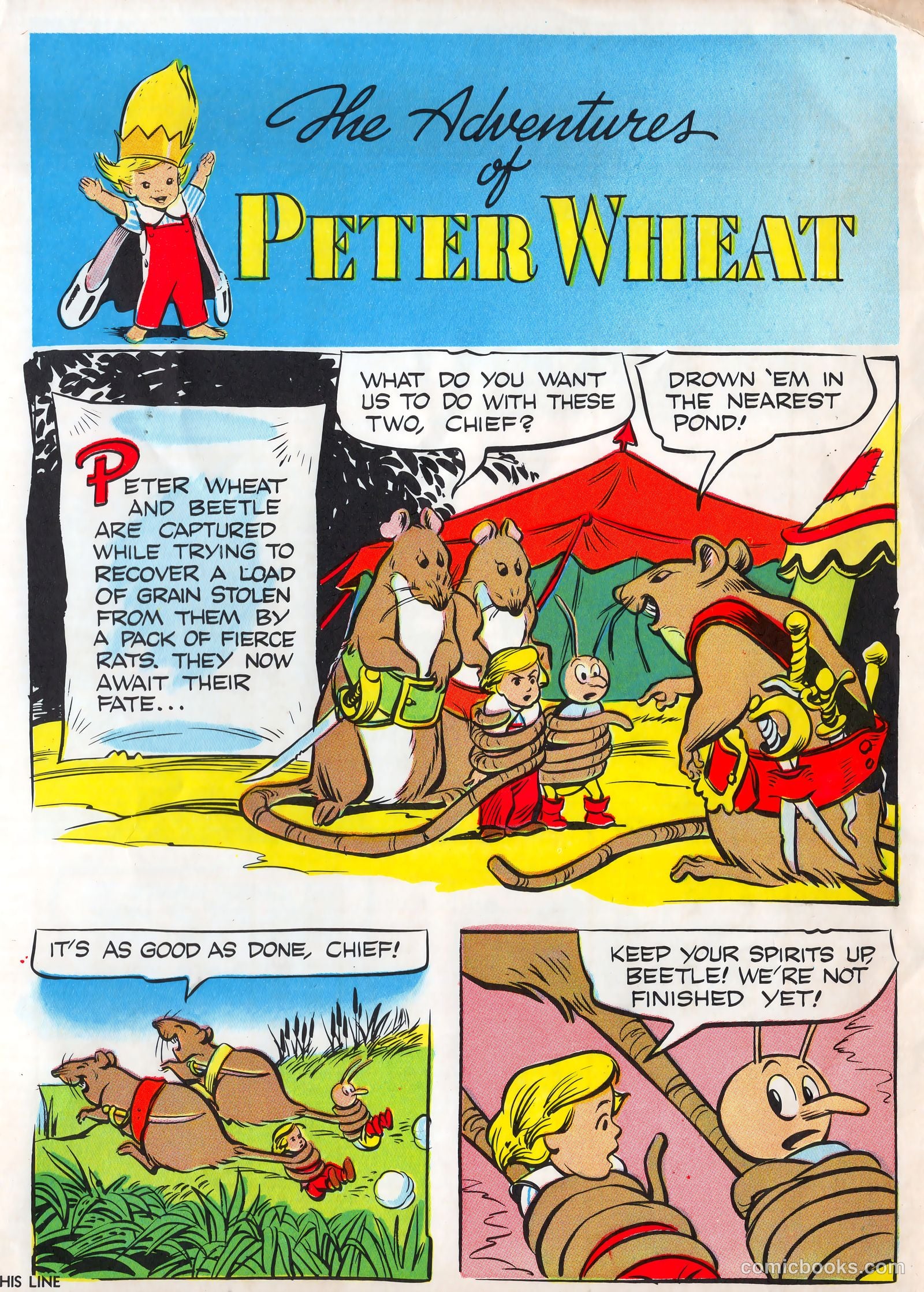 Peter Wheat News #42 (1951) — page 5 of 8