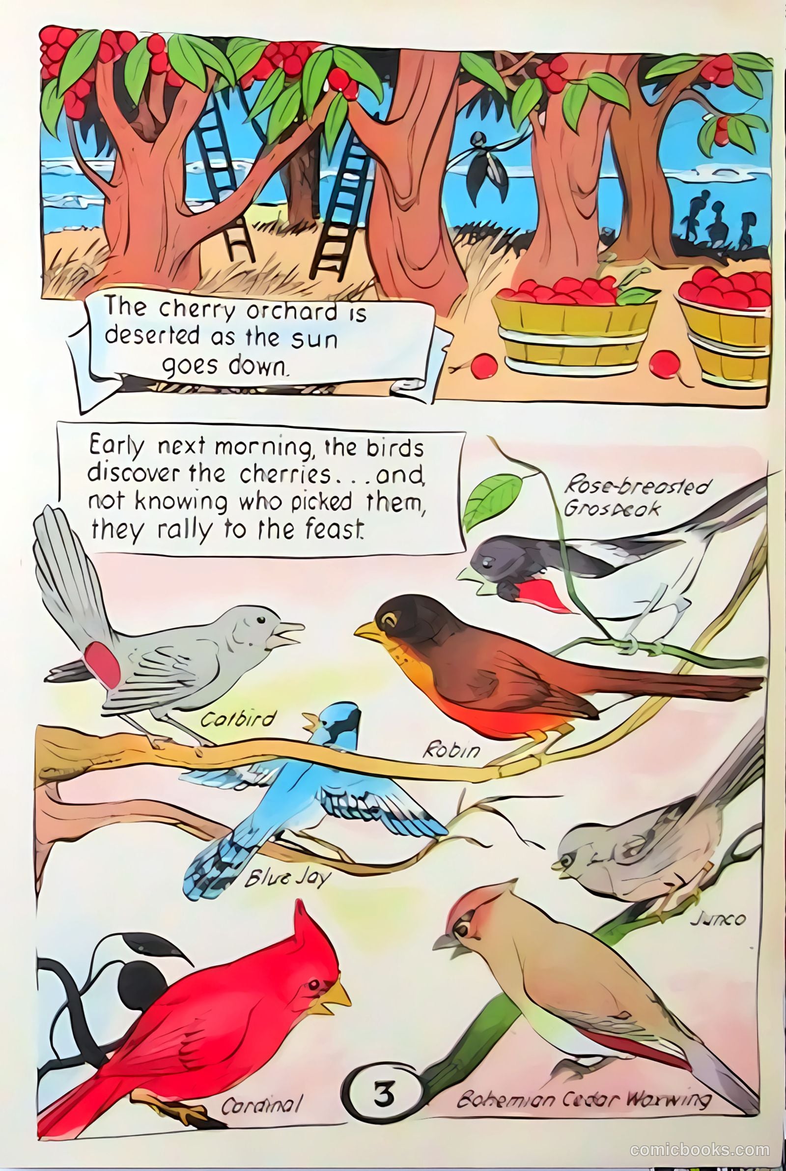 Peter Wheat News #7 (1948) — page 4 of 5