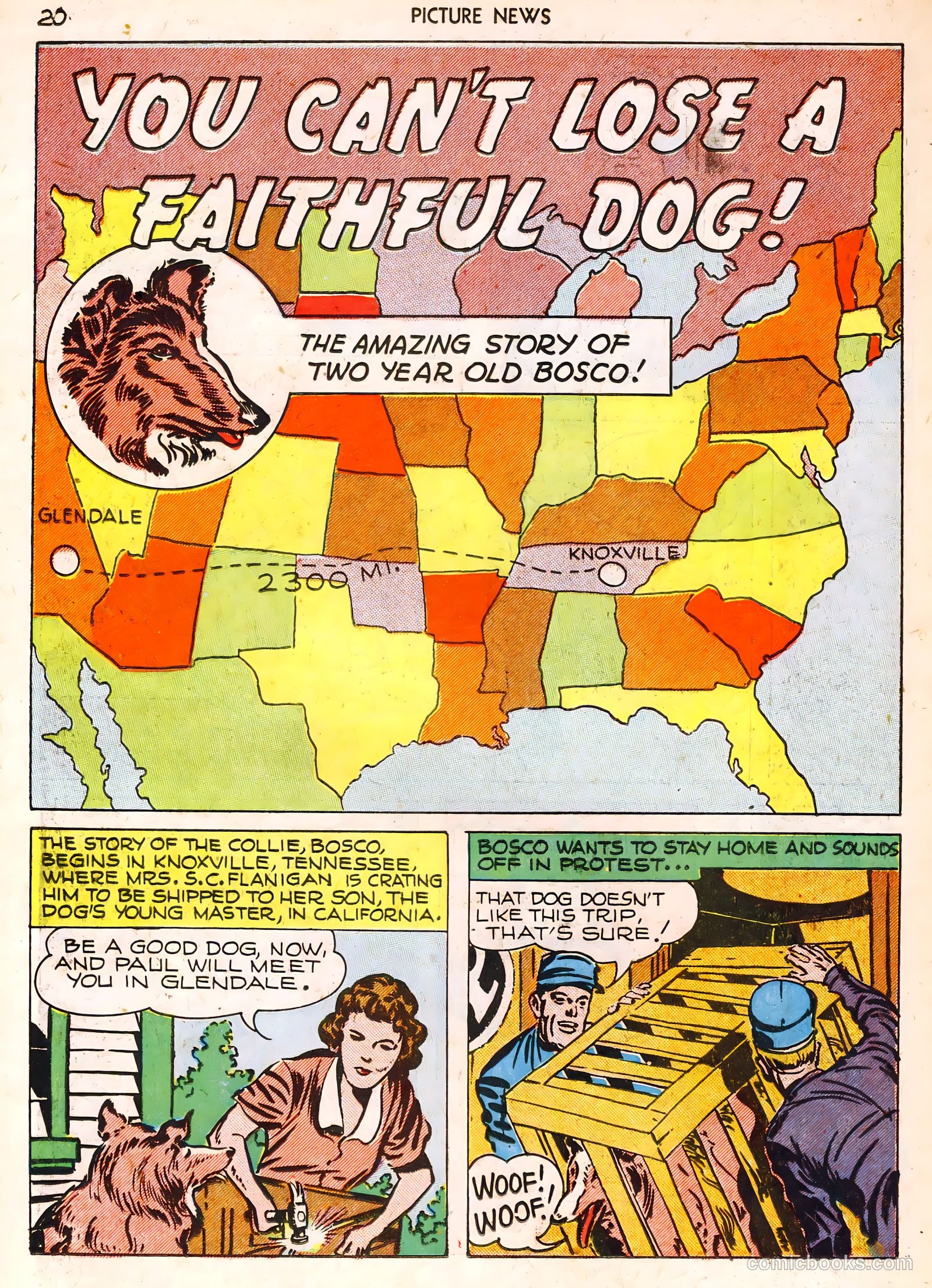 Picture News #1 (1946) — page 20 of 52