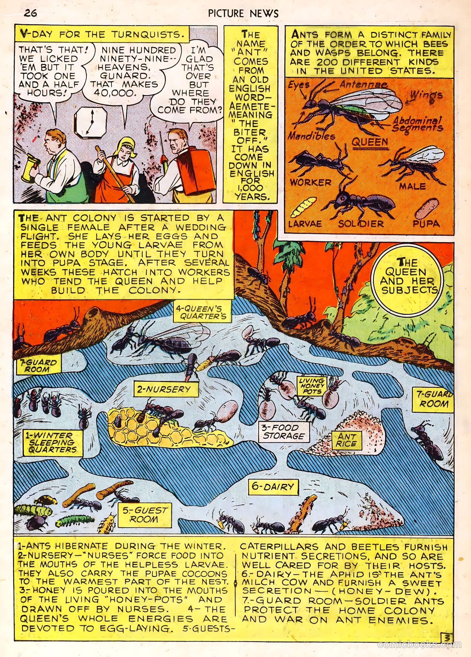 Picture News #1 (1946) — page 26 of 52