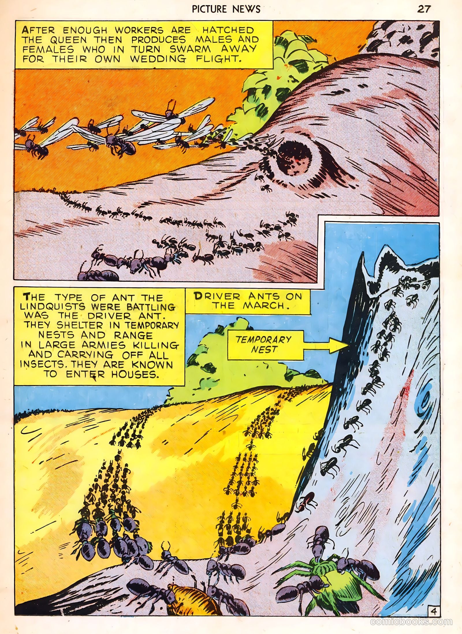 Picture News #1 (1946) — page 27 of 52