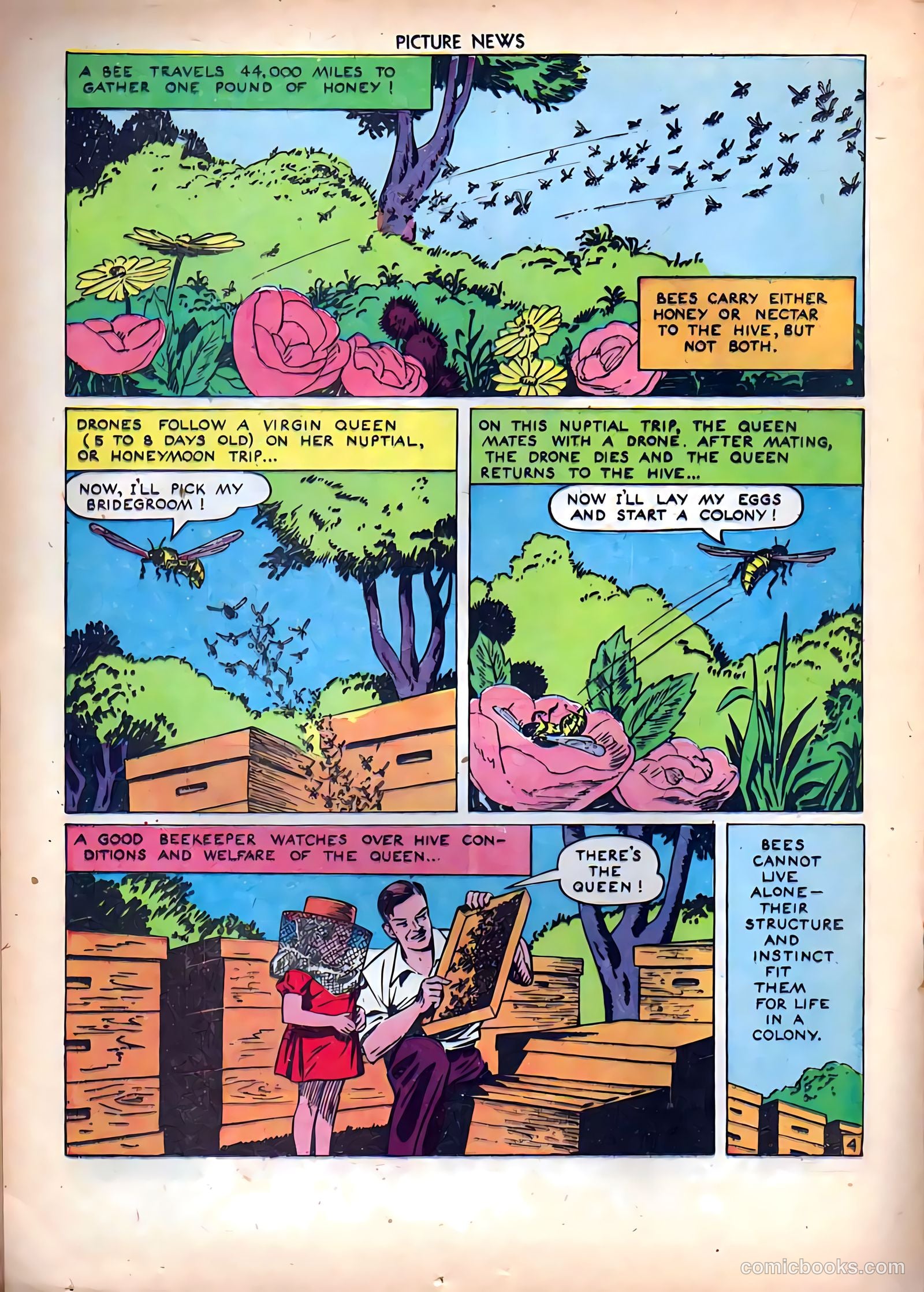 Picture News #8 (1946) — page 28 of 52