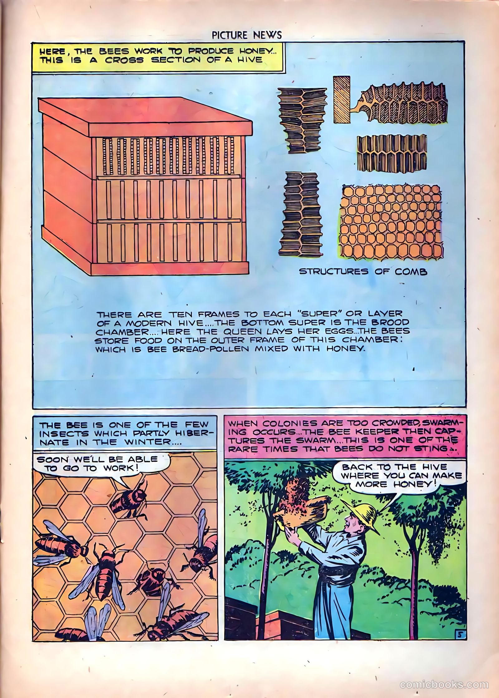 Picture News #8 (1946) — page 29 of 52