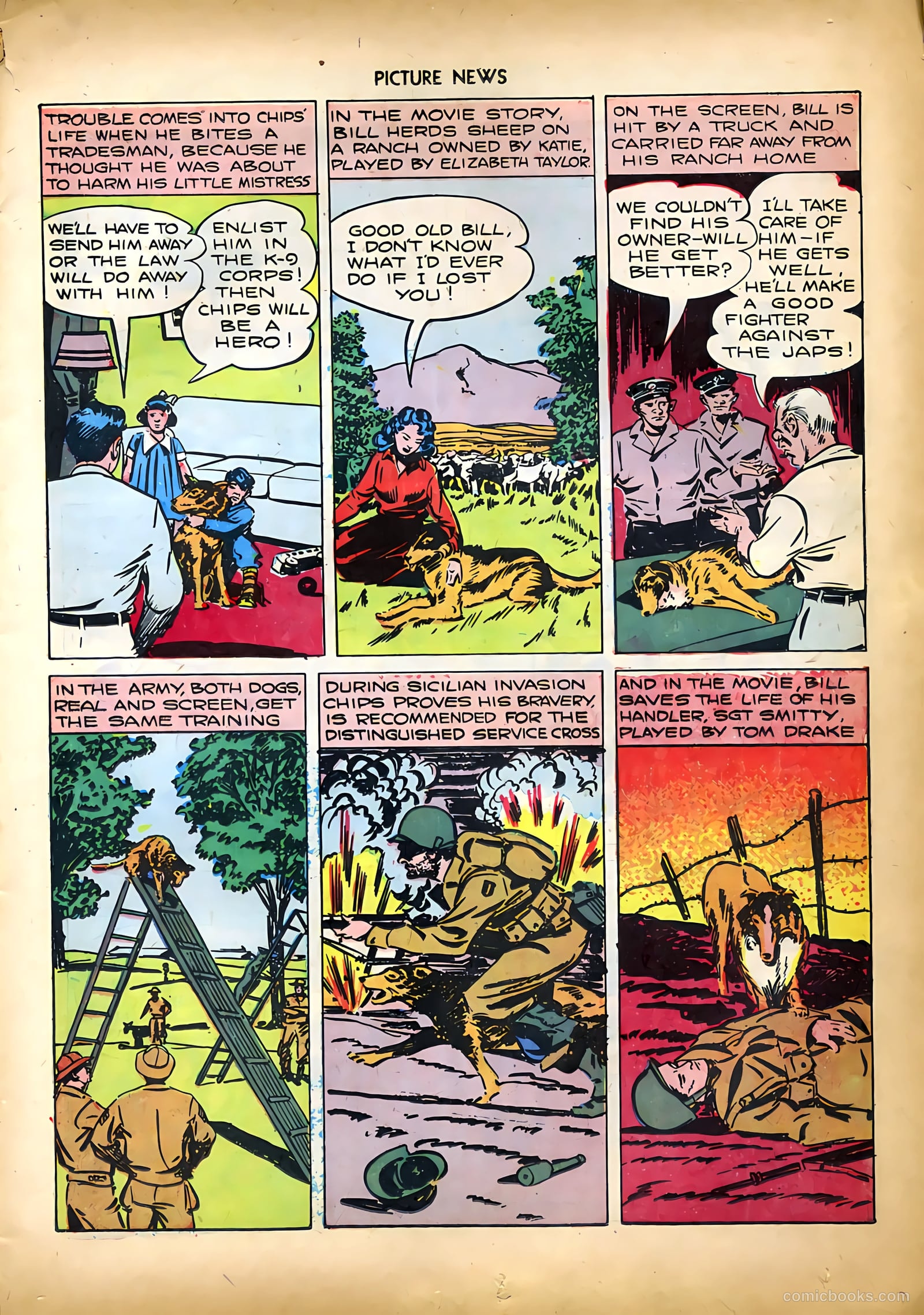 Picture News #9 (1946) — page 17 of 52
