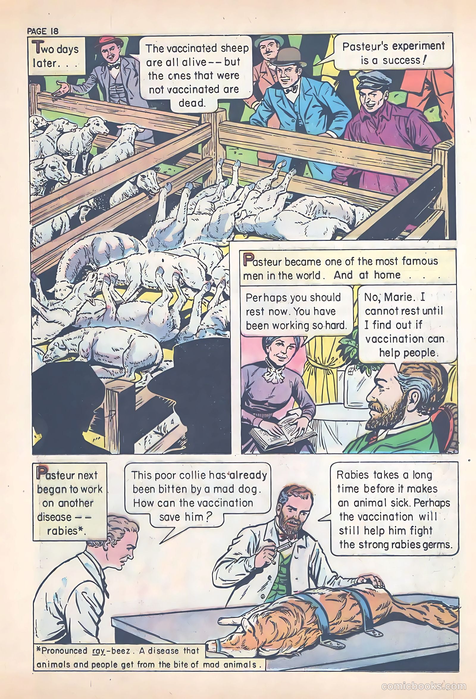 Picture Progress #3 (1954) — page 20 of 28