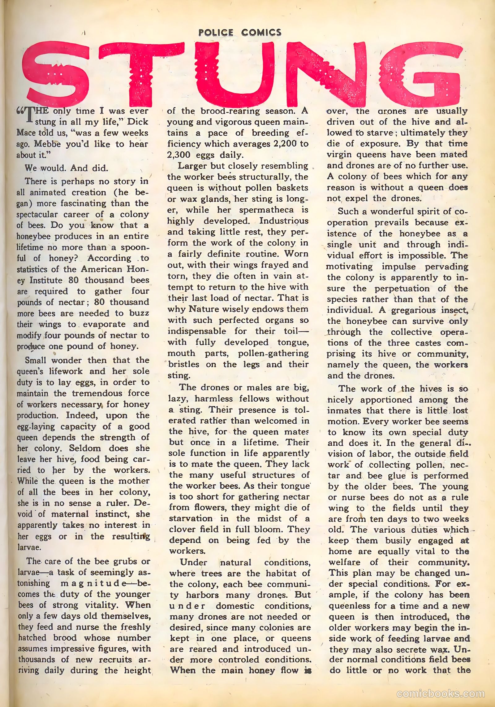 Police Comics #40 (1945) — page 44 of 61