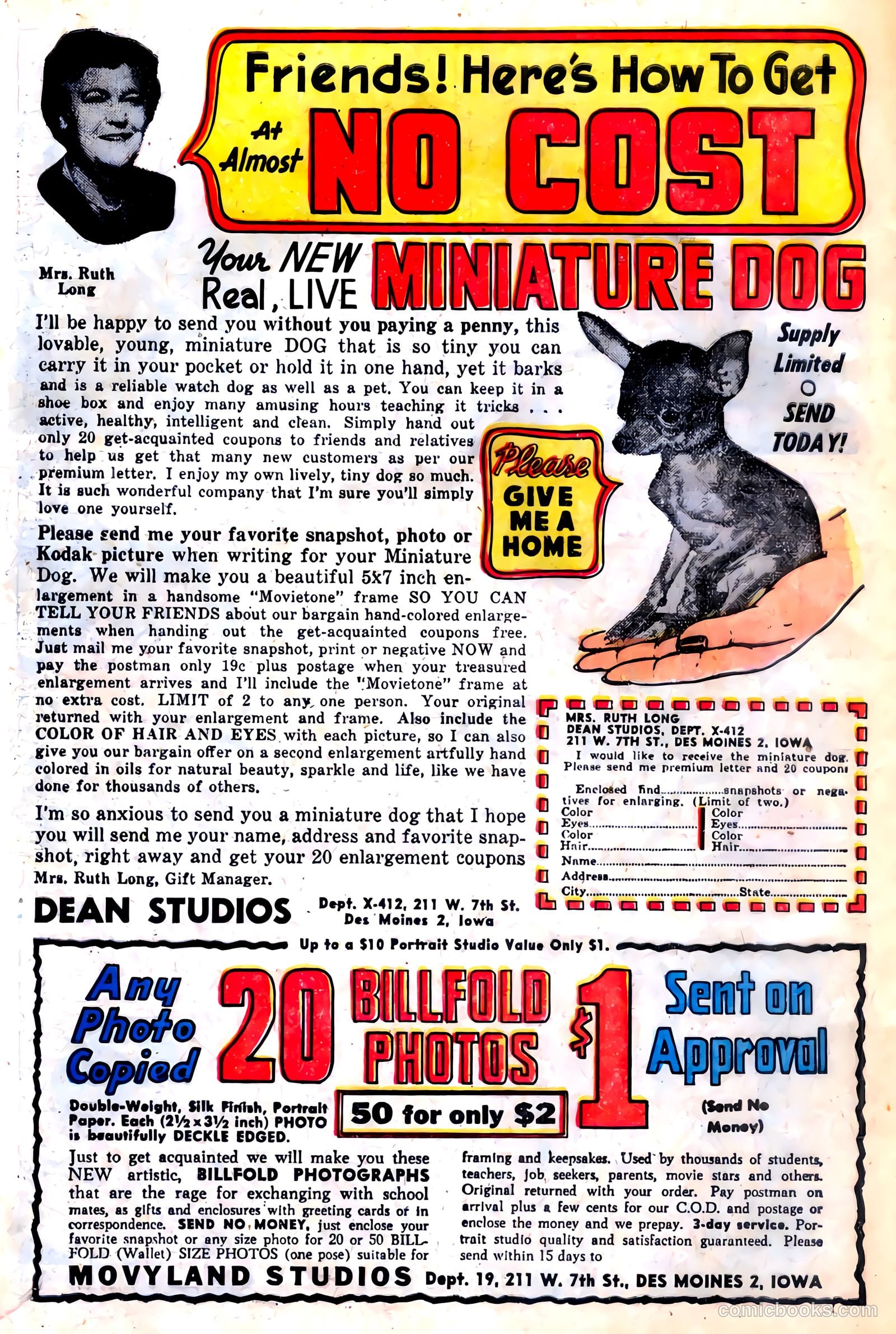 Police Trap #6 (1955) — page 34 of 36