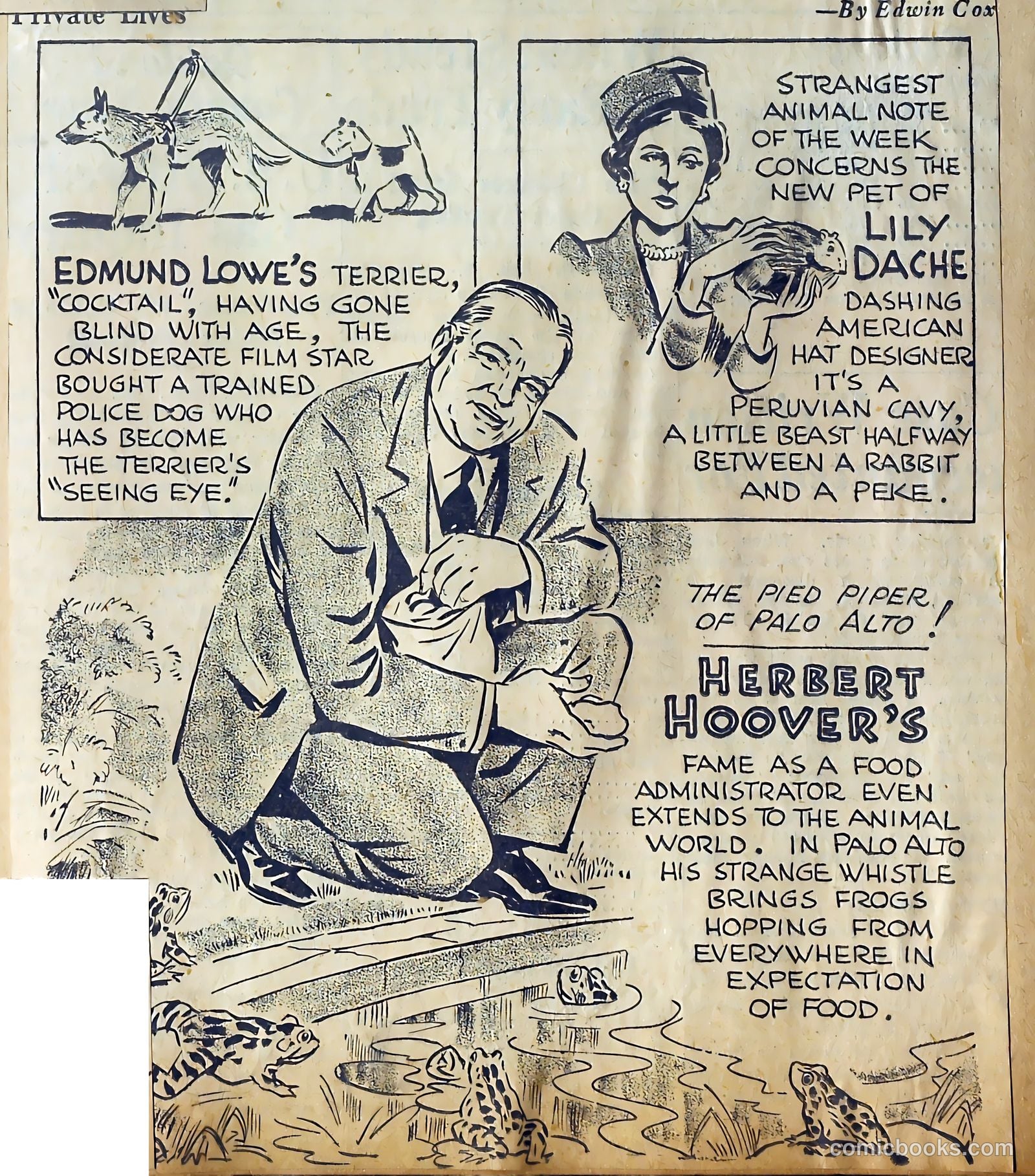 Private Lives Romances #3 — page 10 of 62