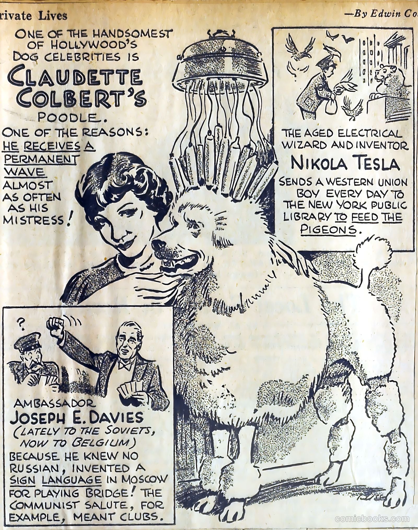 Private Lives Romances #3 — page 27 of 62