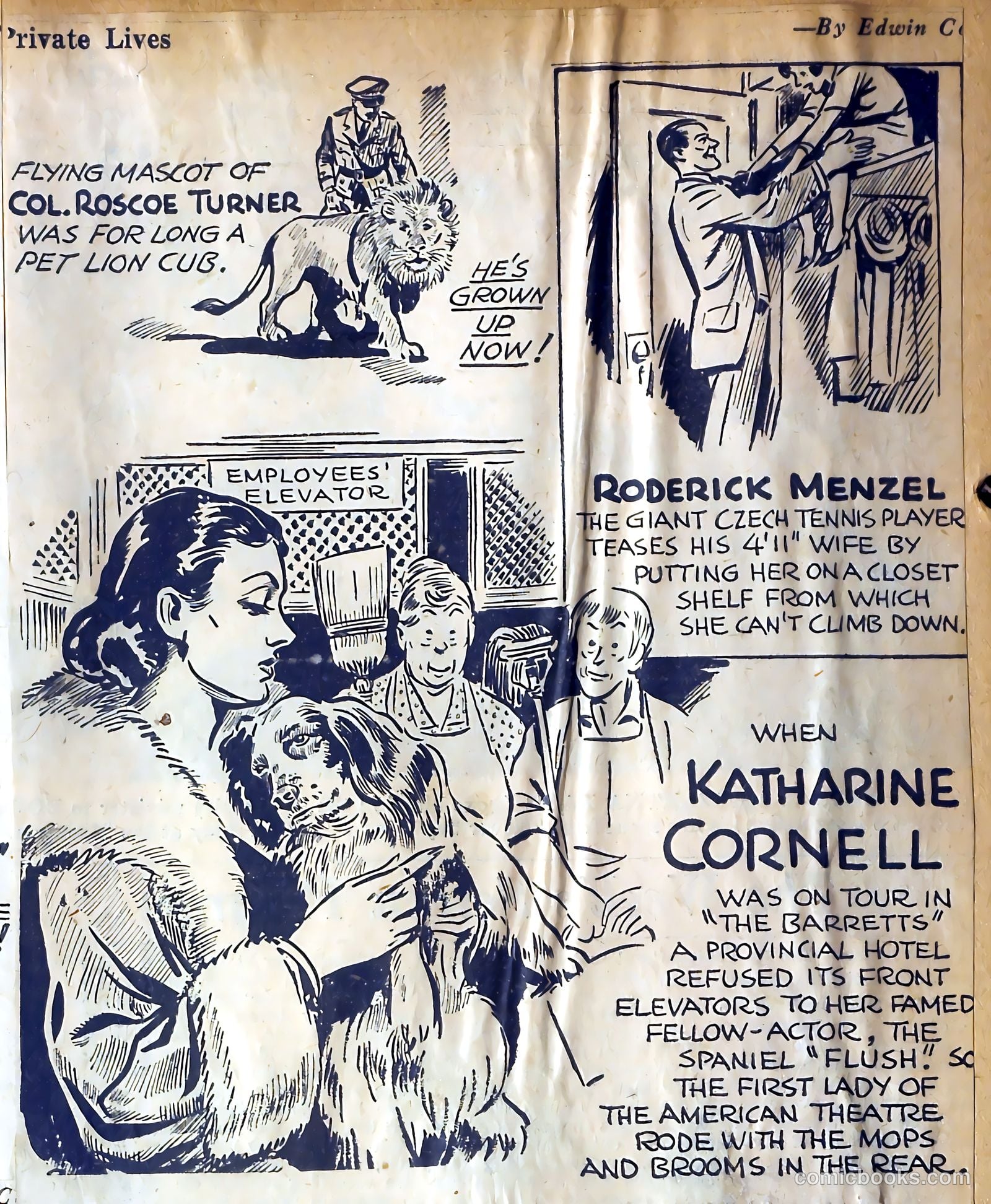 Private Lives Romances #3 — page 41 of 62