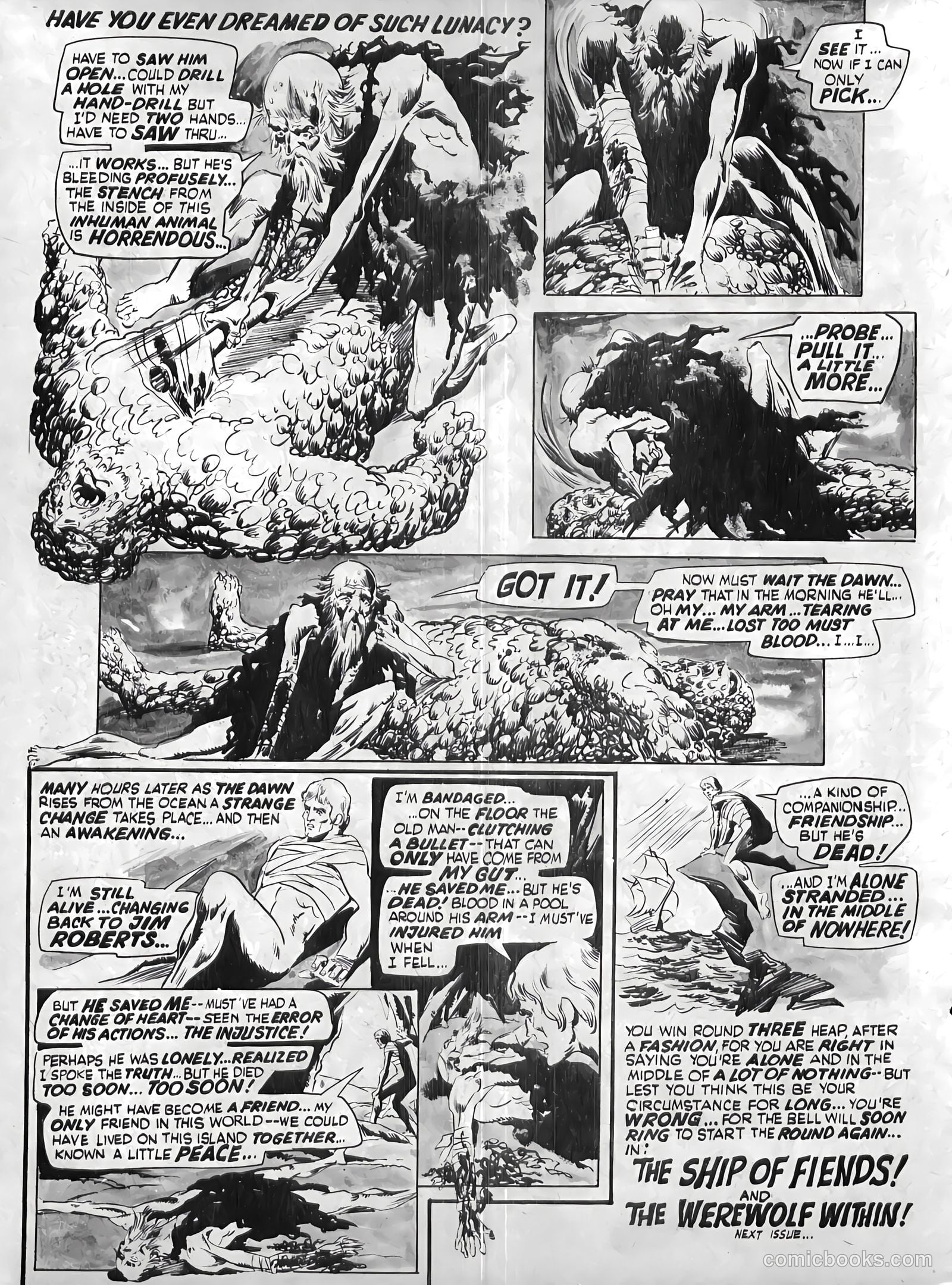 Psycho #10 (1973) — page 45 of 69