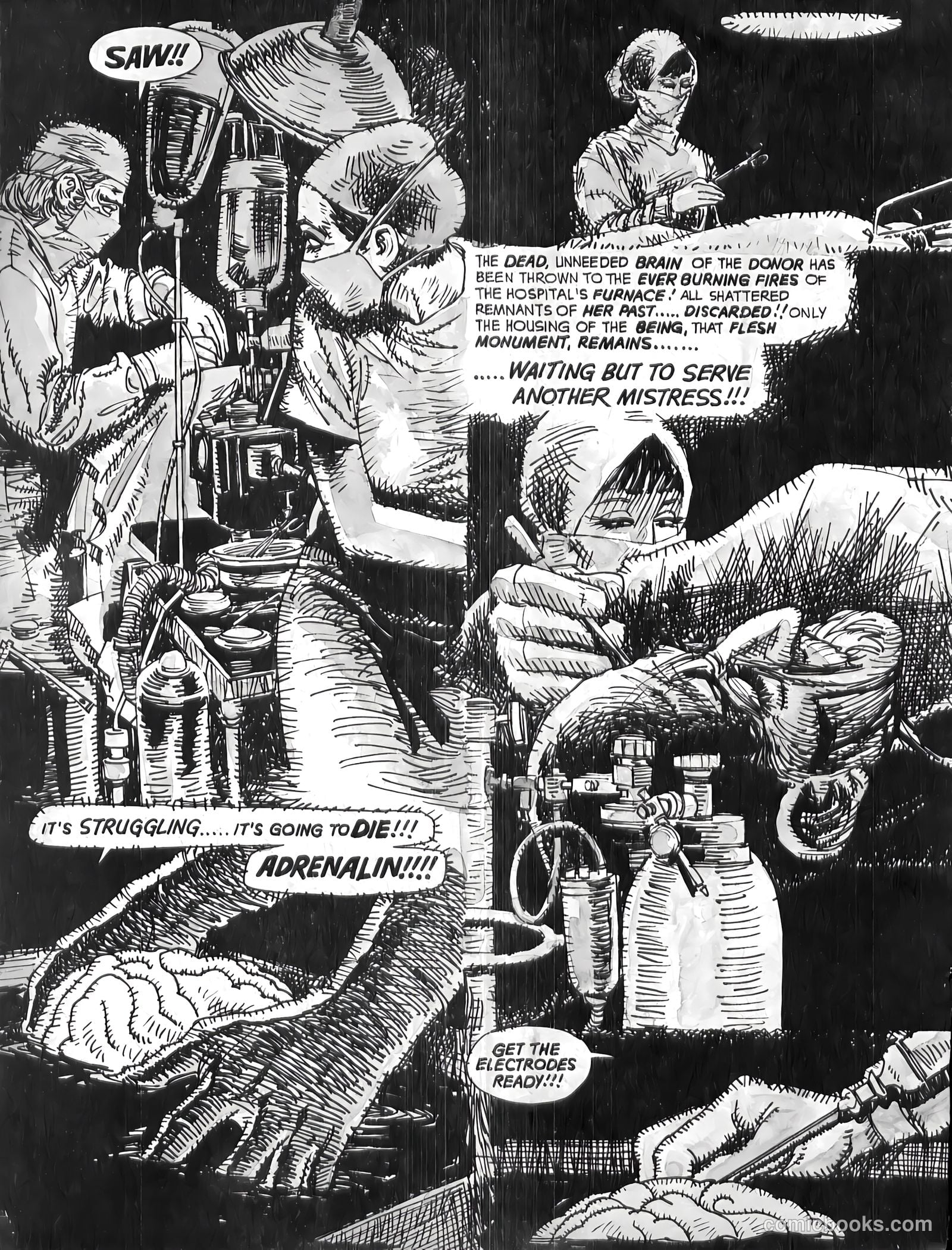 Psycho #10 (1973) — page 49 of 69