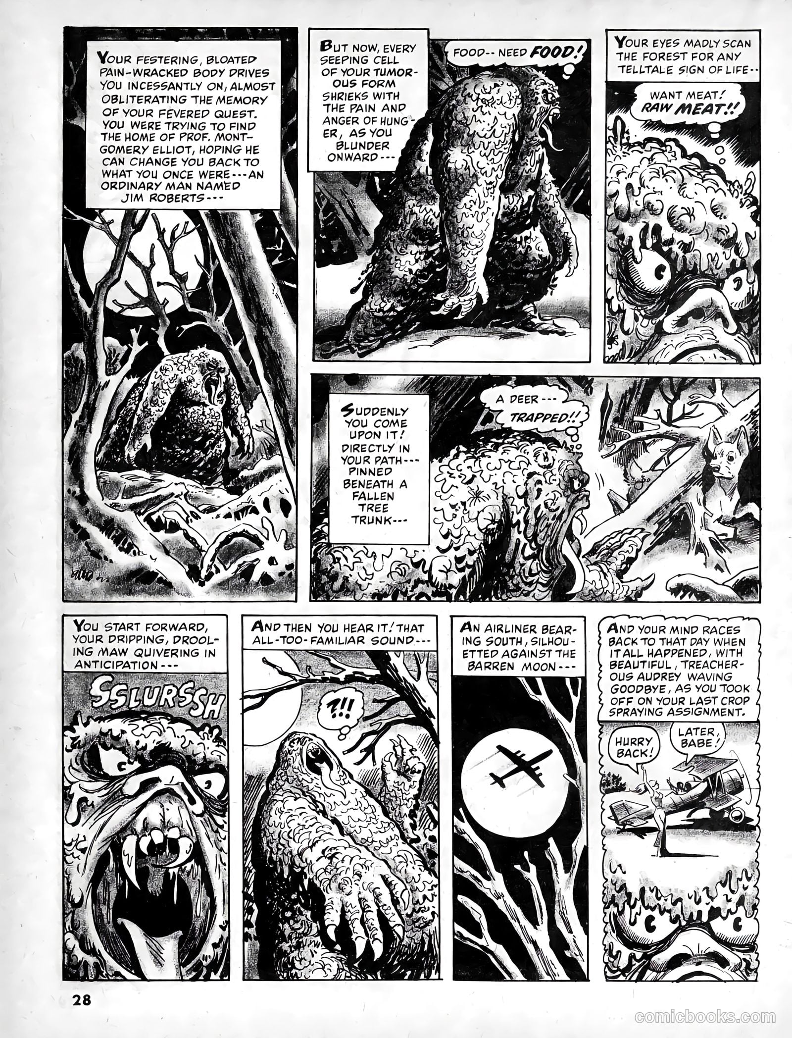 Psycho #3 (1971) — page 27 of 67
