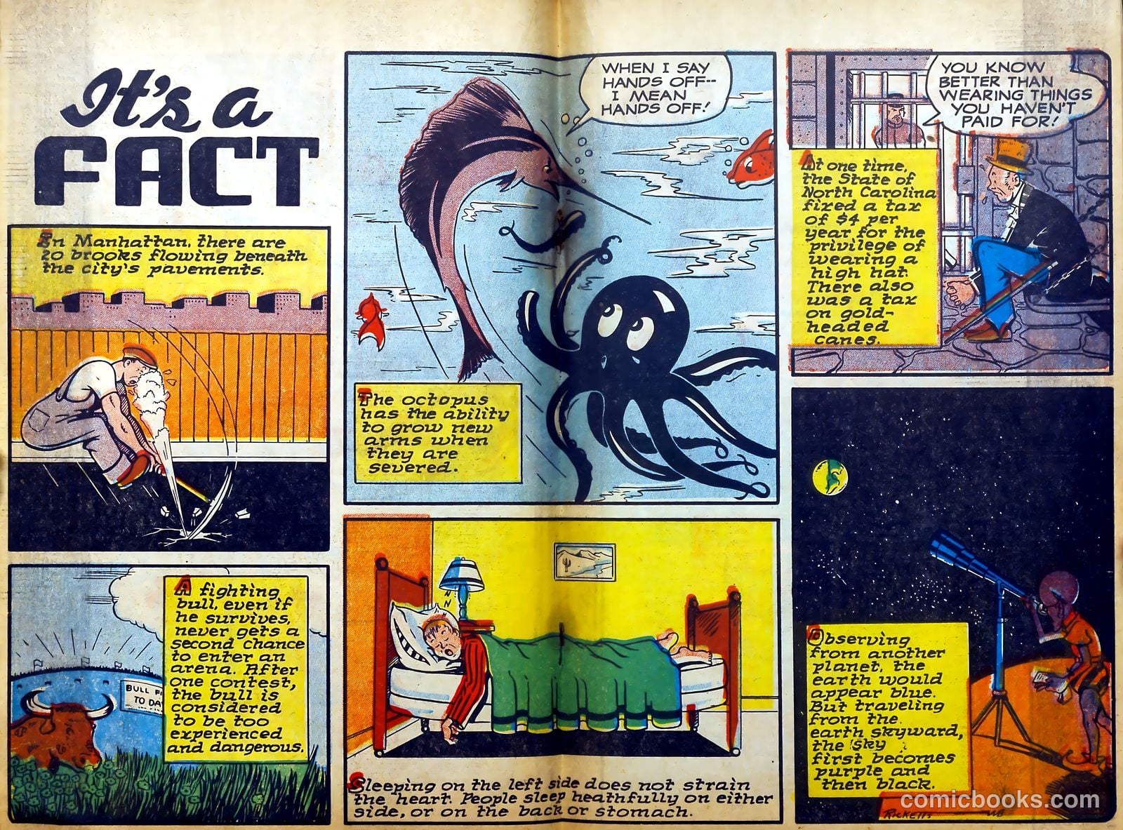 Punch Comics #21 (1947) — page 25 of 51