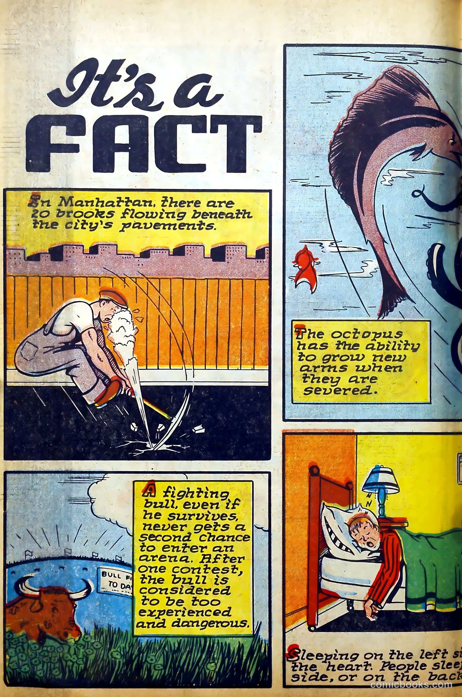 Punch Comics #21 (1947) — page 26 of 51