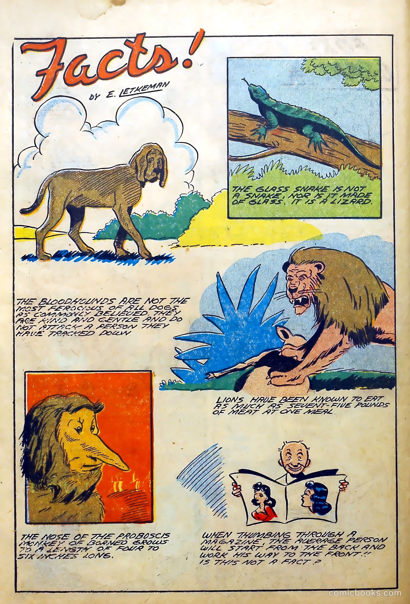 Punch Comics #22 (1947) — page 62 of 68