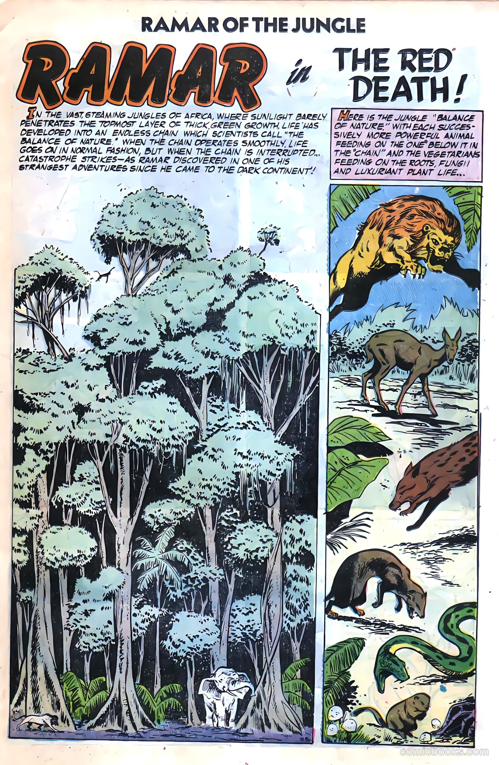 Ramar of the Jungle #2 (1955) — page 11 of 36