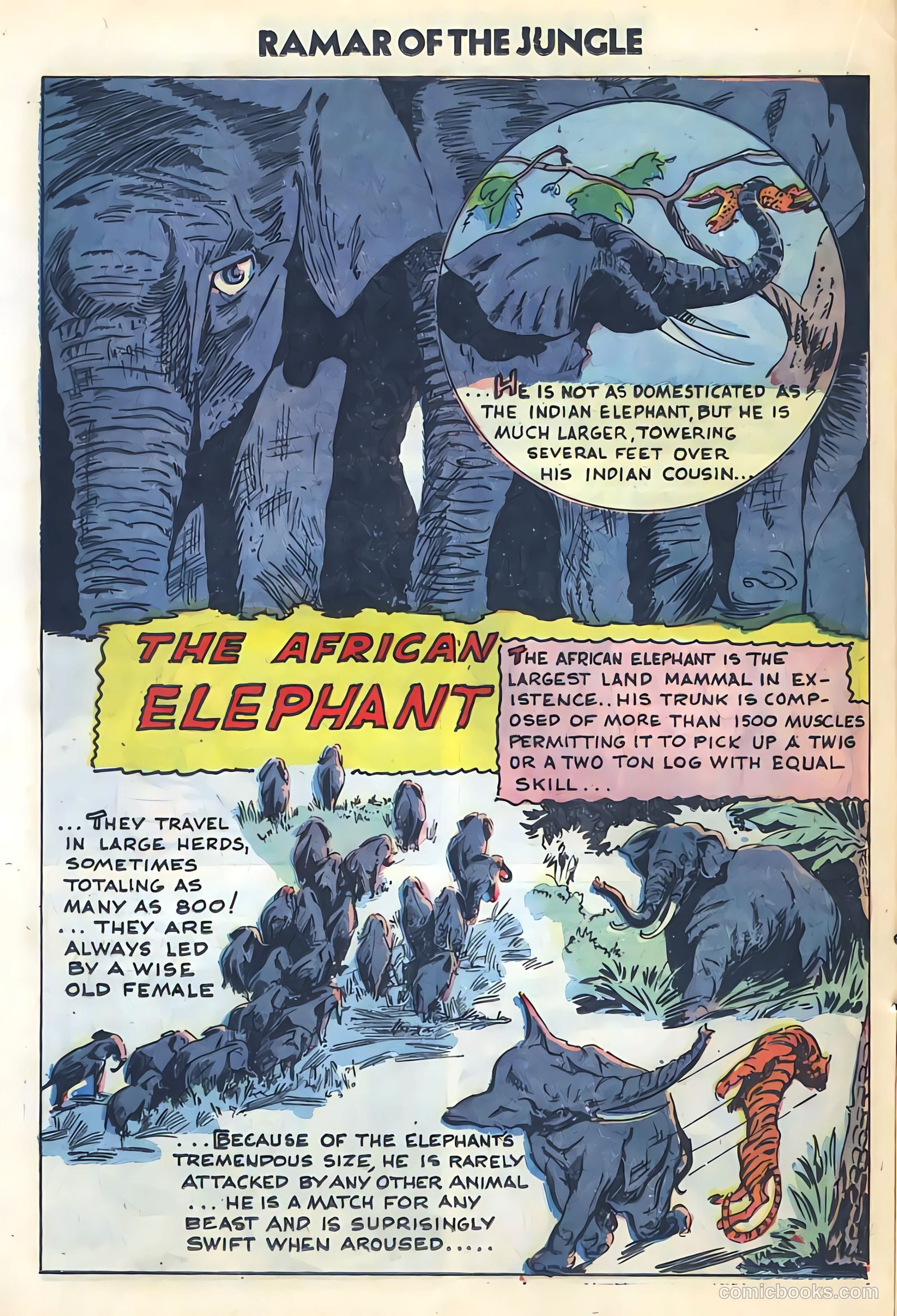 Ramar of the Jungle #2 (1955) — page 16 of 36
