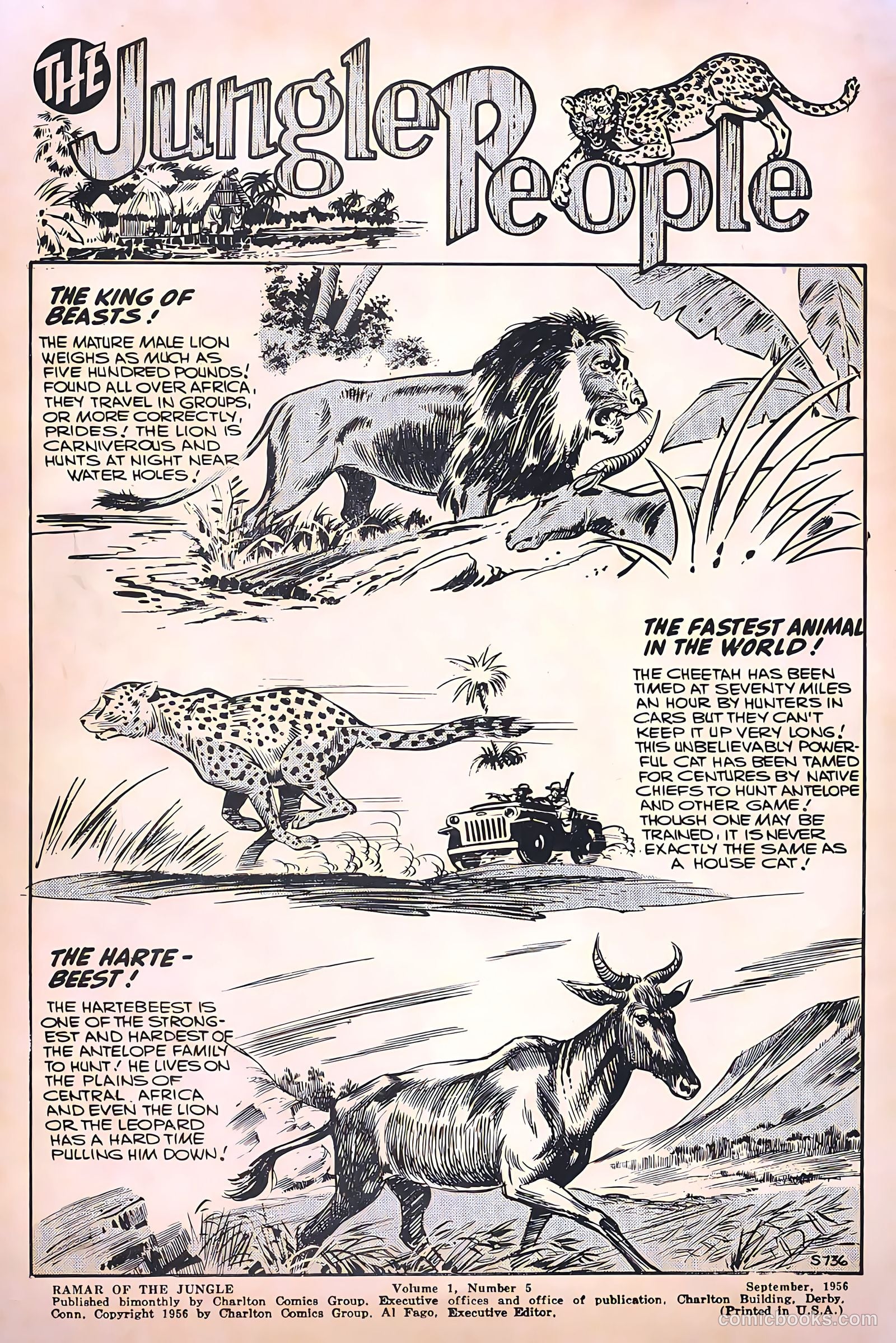 Ramar of the Jungle #5 (1956) — page 2 of 36
