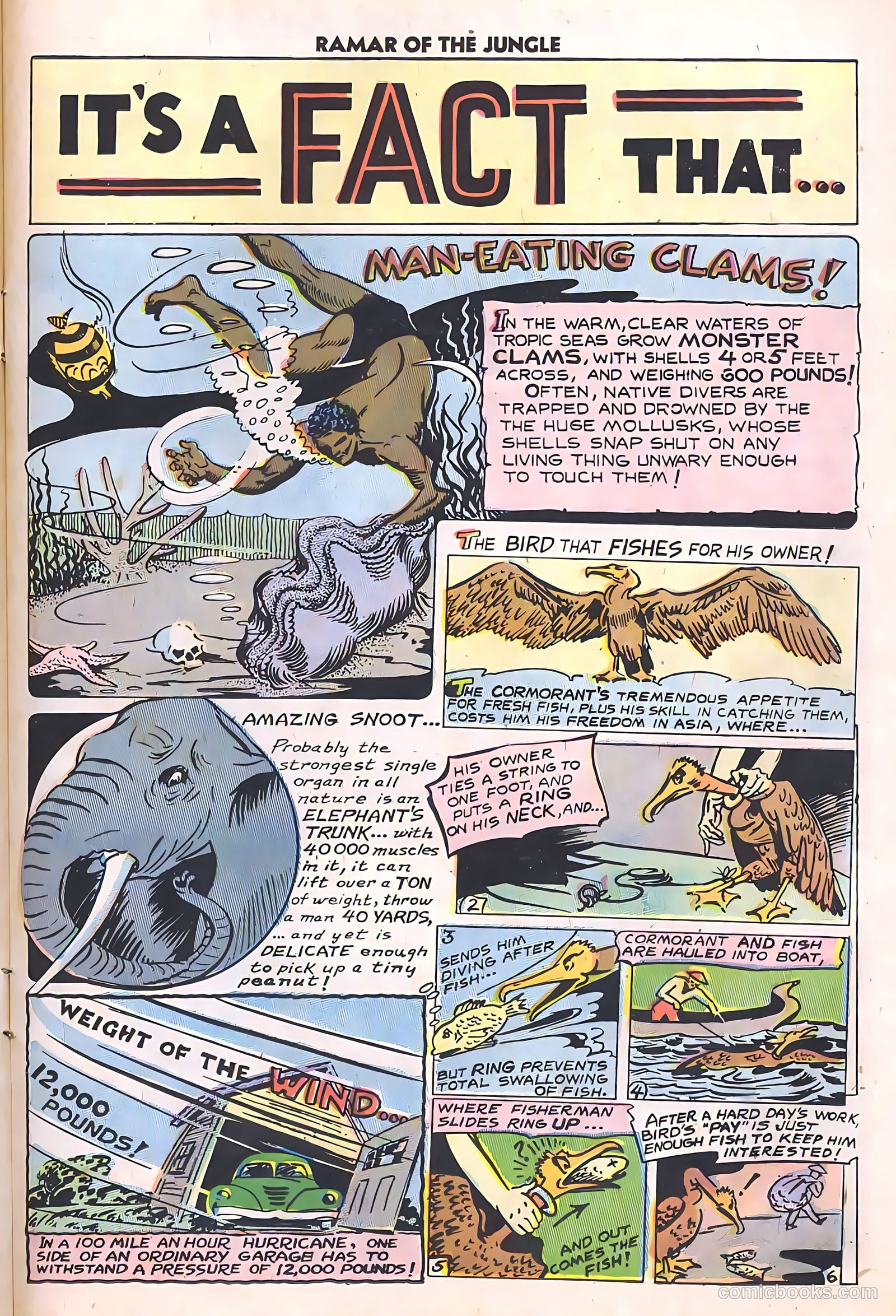 Ramar of the Jungle #5 (1956) — page 23 of 36