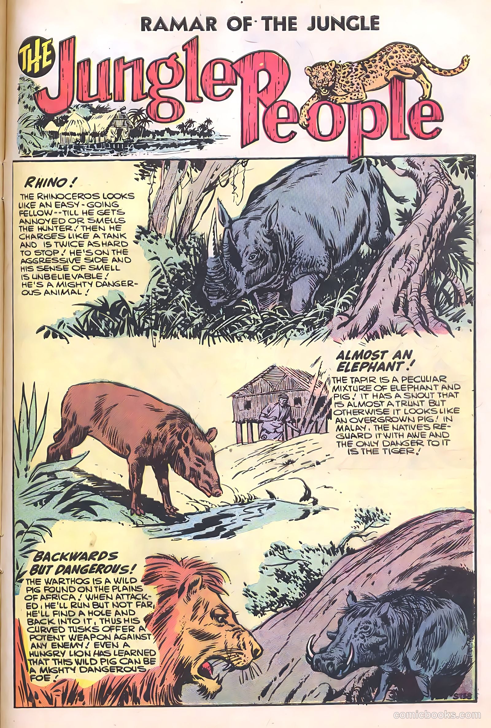 Ramar of the Jungle #5 (1956) — page 29 of 36