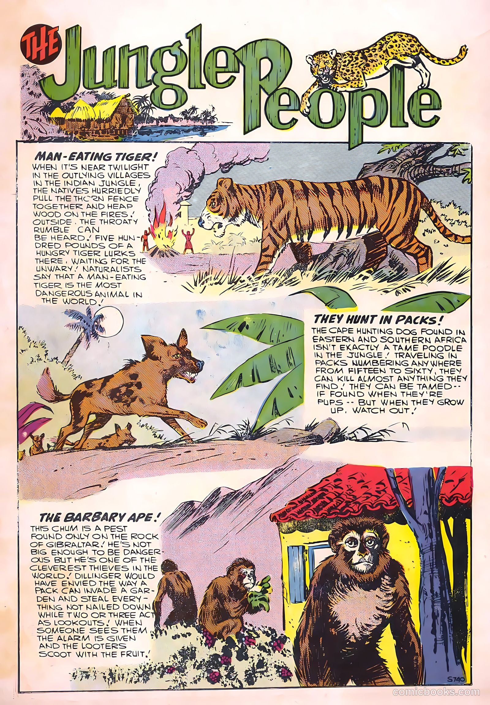 Ramar of the Jungle #5 (1956) — page 36 of 36